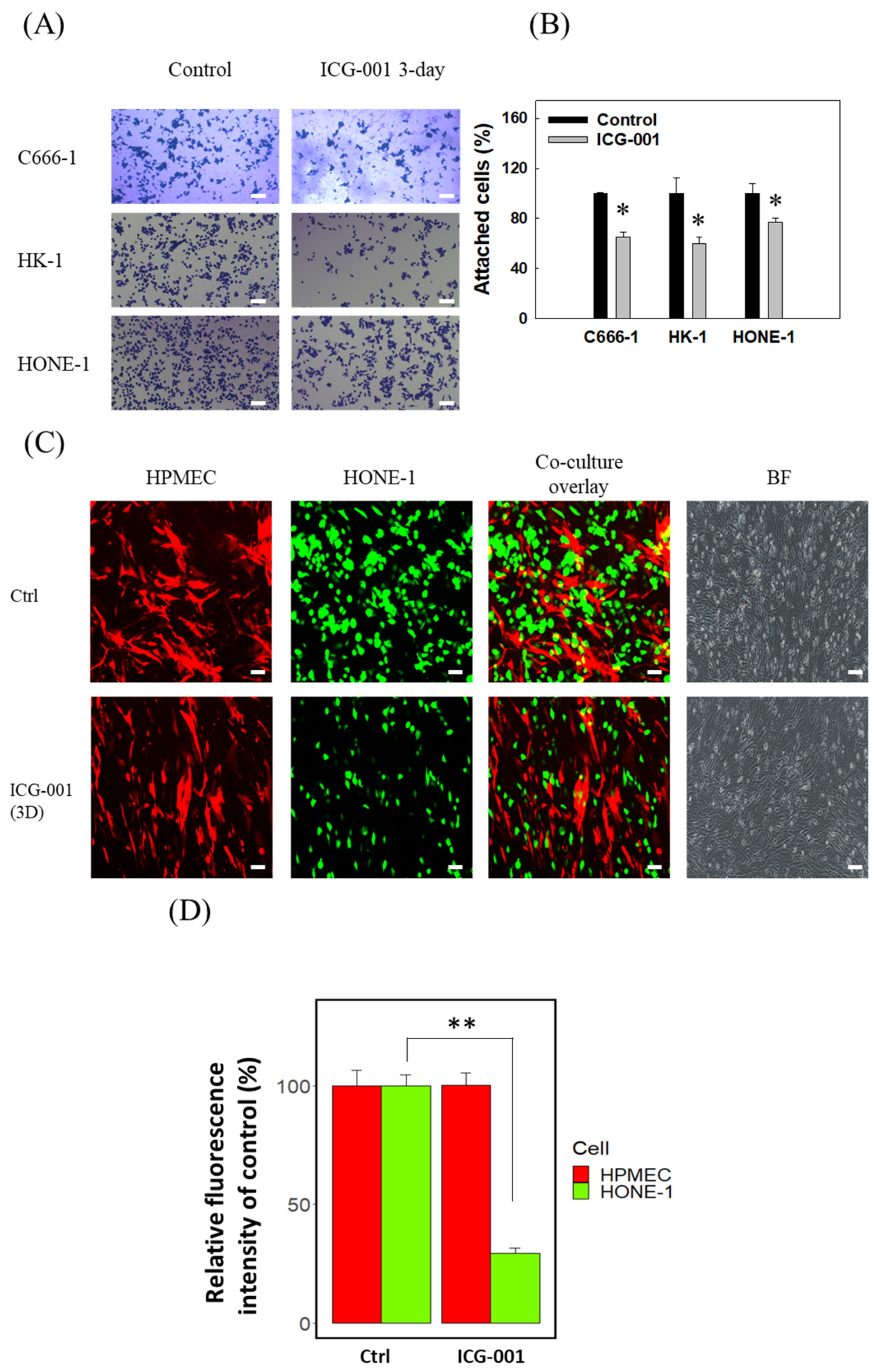 Cancers 14 03125 g001