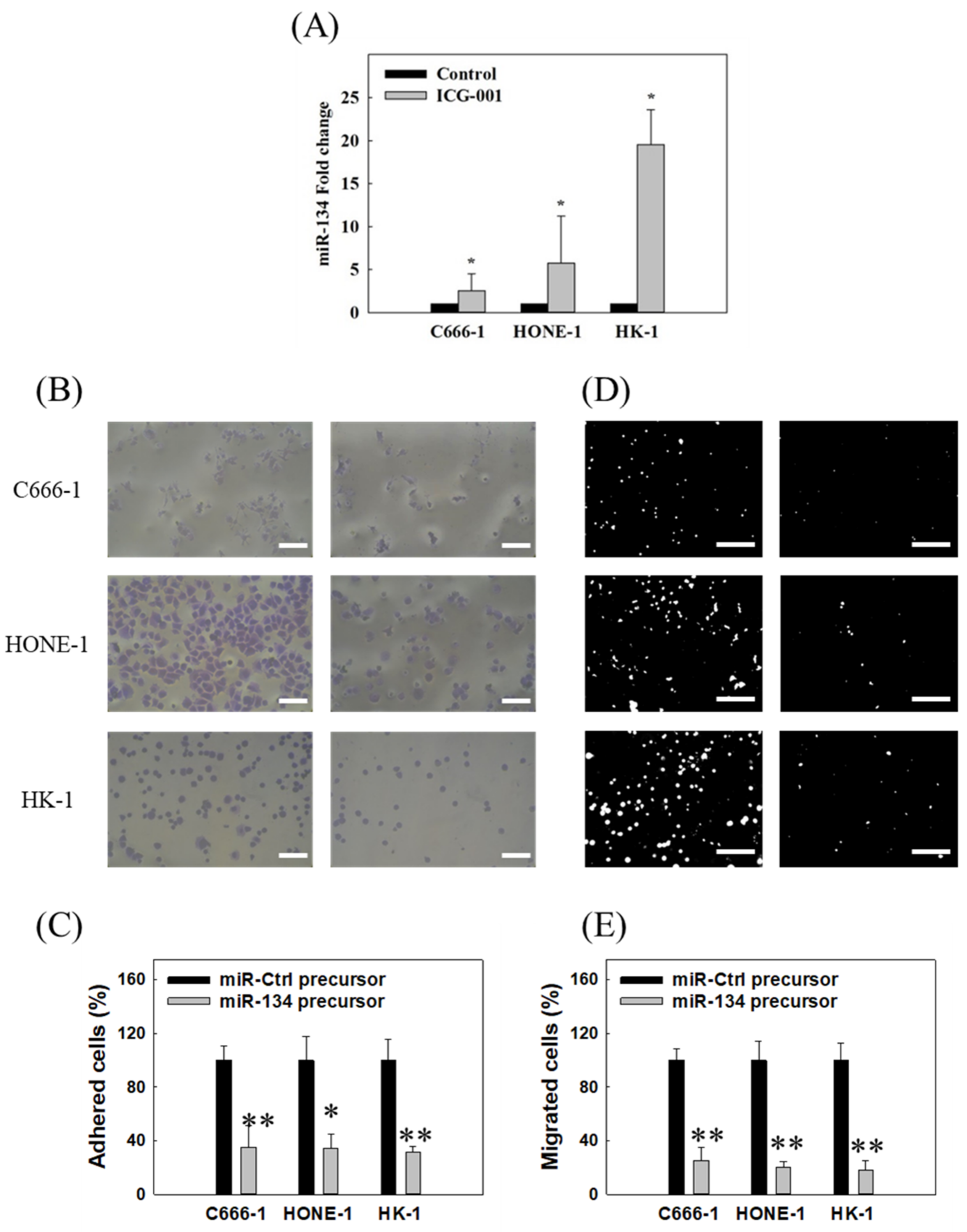 Cancers 14 03125 g002