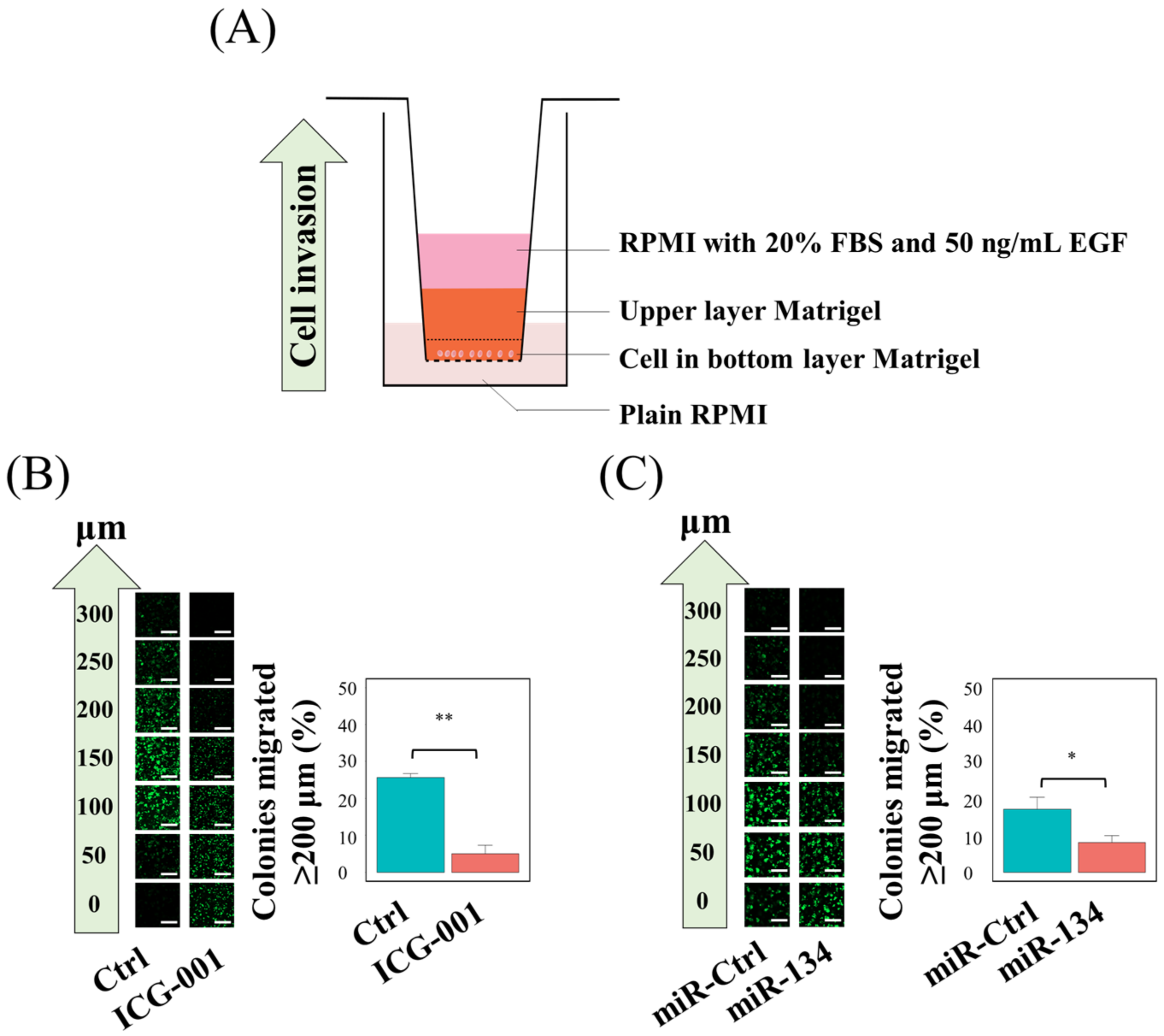 Cancers 14 03125 g003