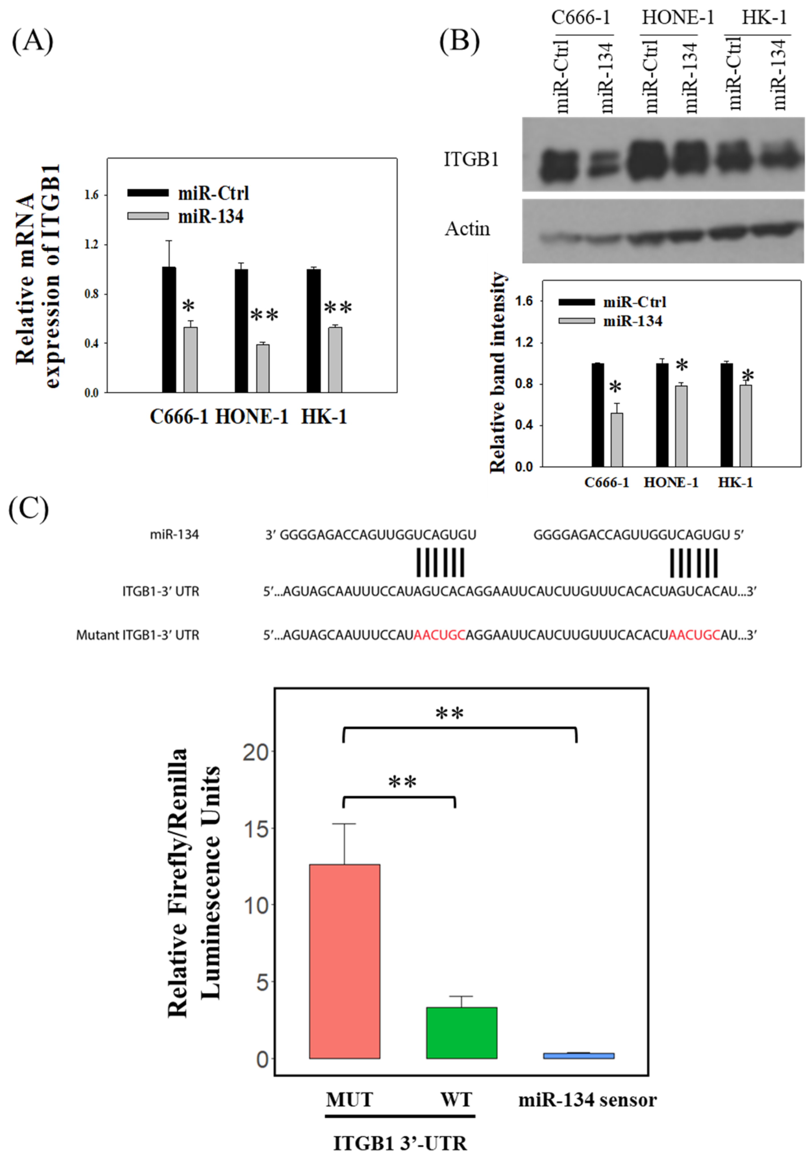 Cancers 14 03125 g004