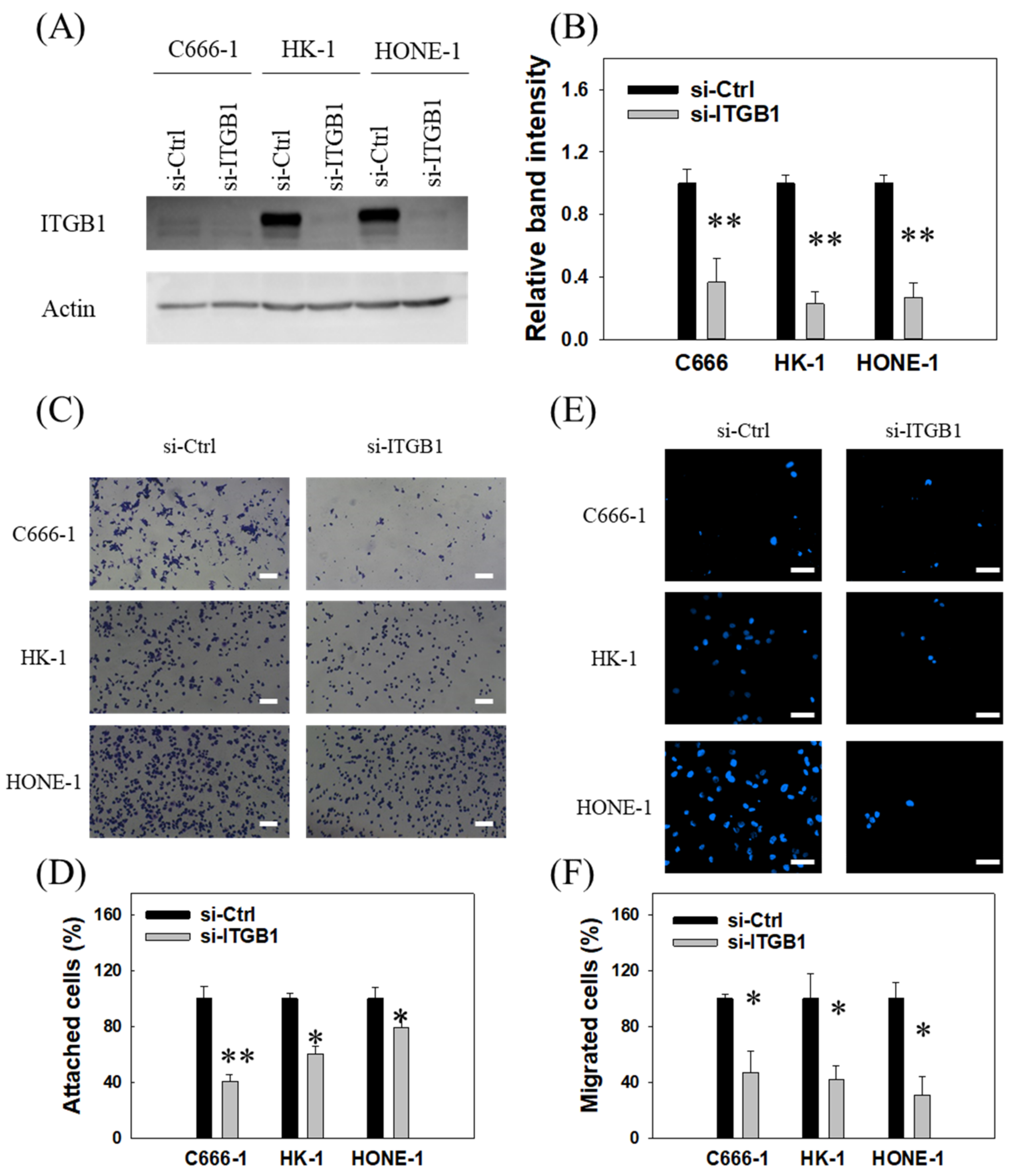 Cancers 14 03125 g006