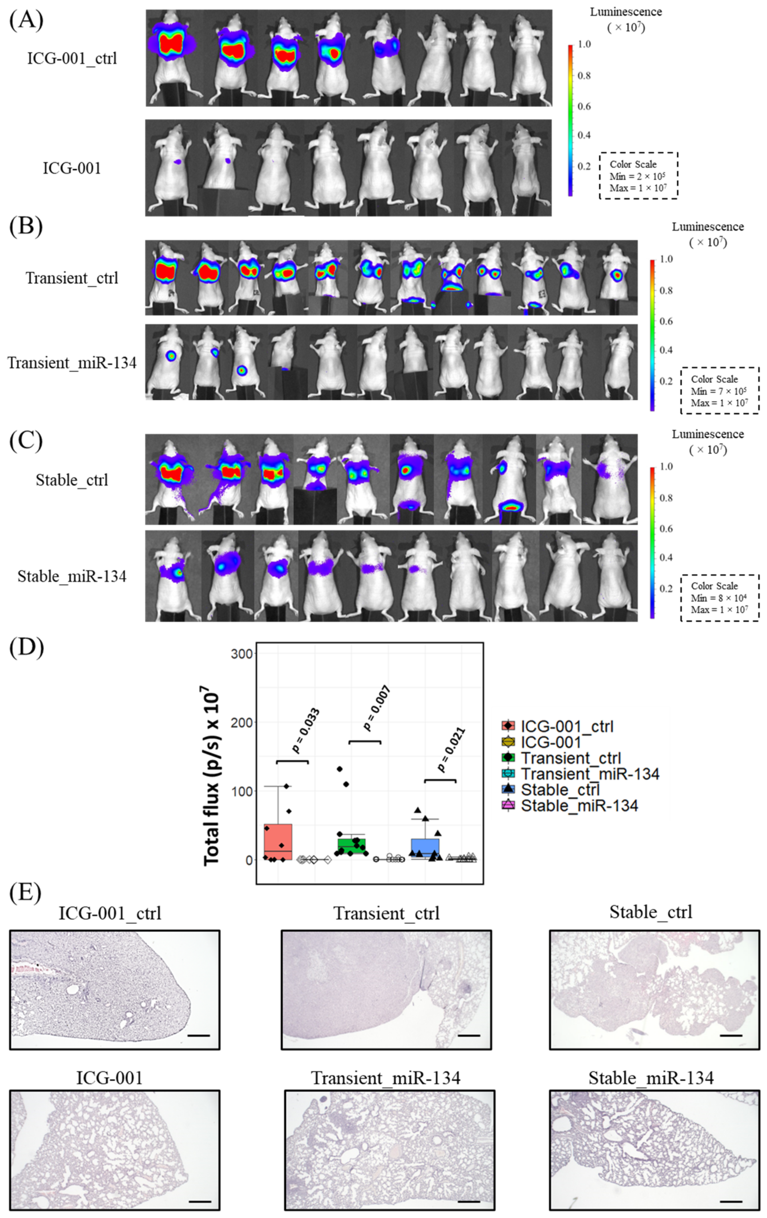 Cancers 14 03125 g007
