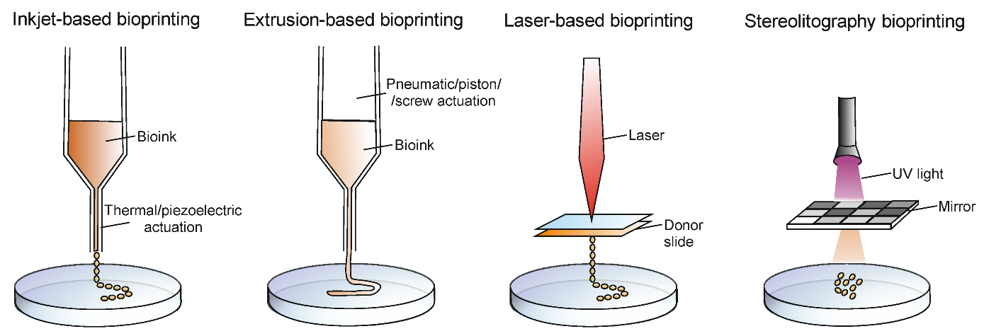 Cancers 14 03126 g002
