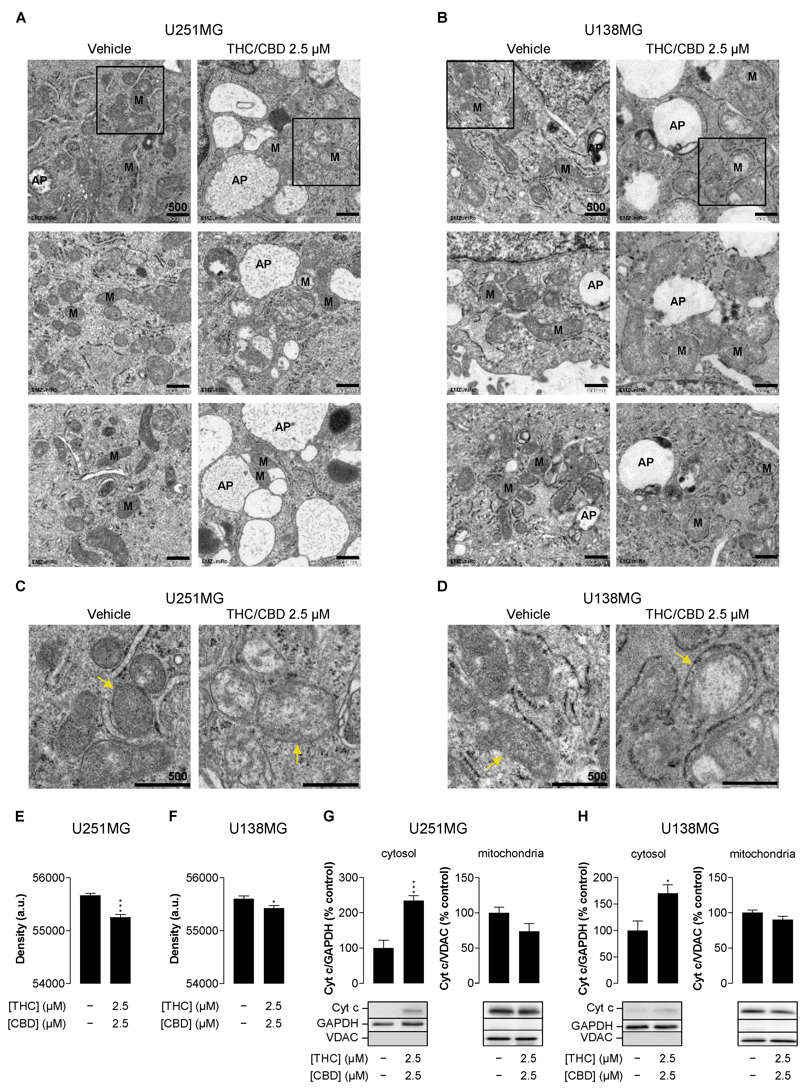 Cancers 14 03129 g003