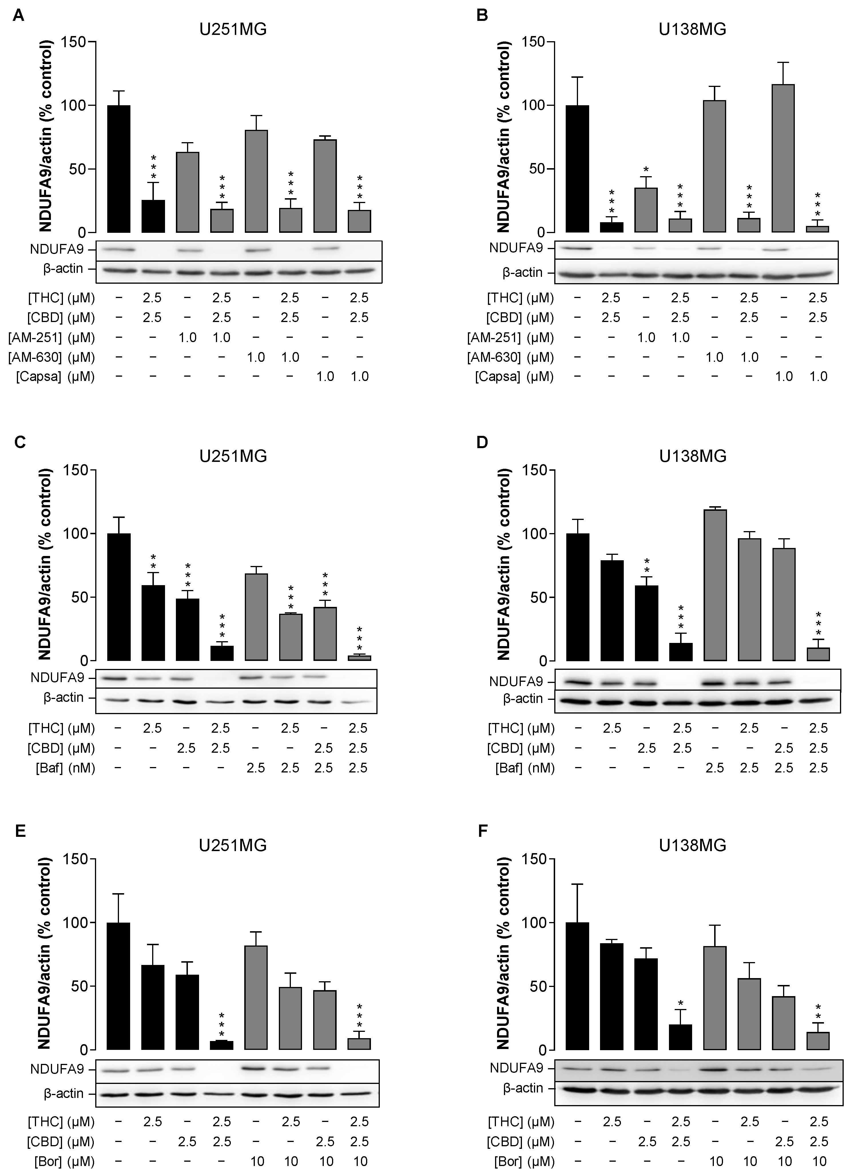 Cancers 14 03129 g005