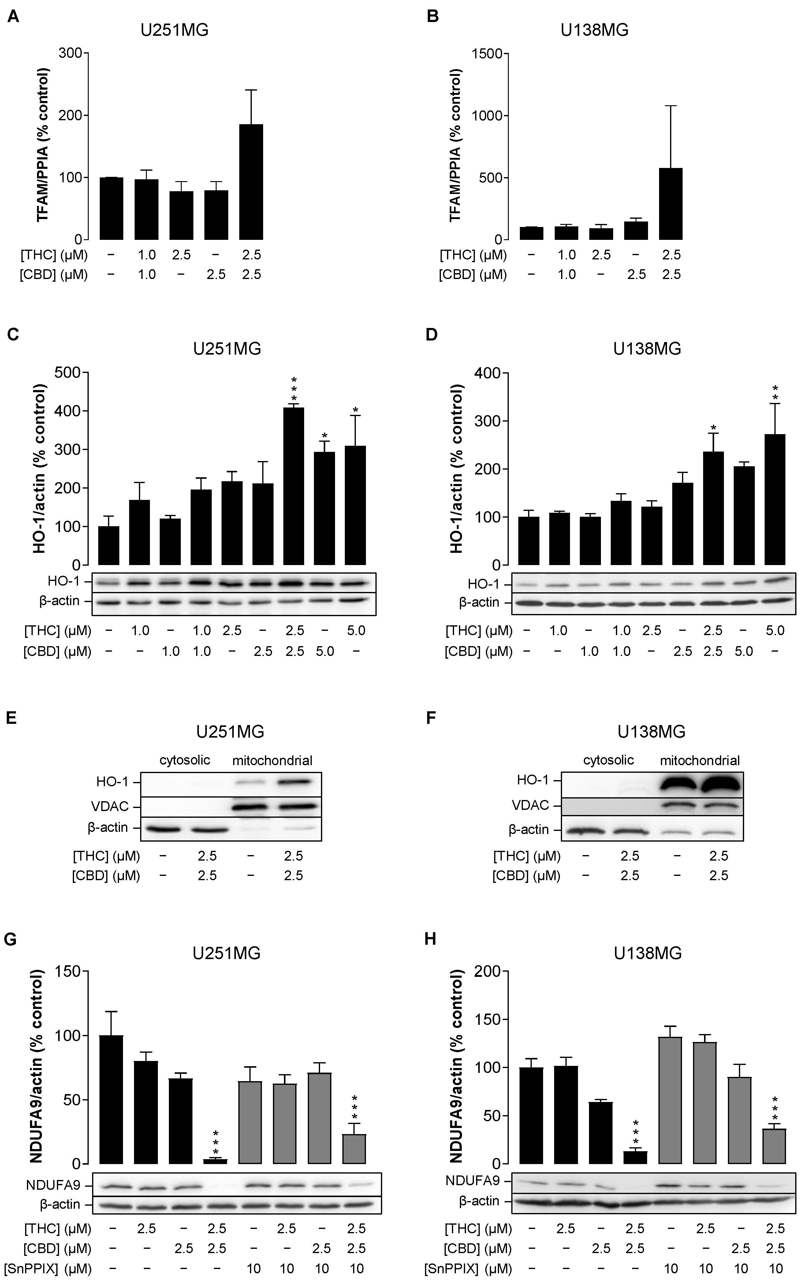 Cancers 14 03129 g006