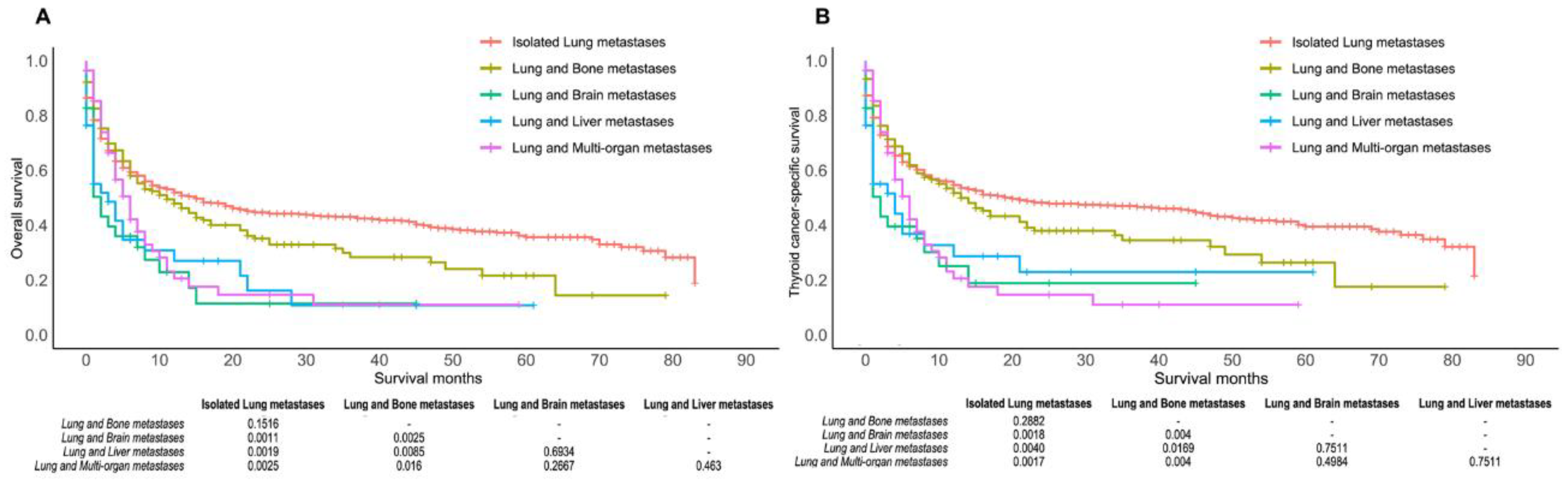 Cancers 14 03133 g004 Cancers 14 03133 g004