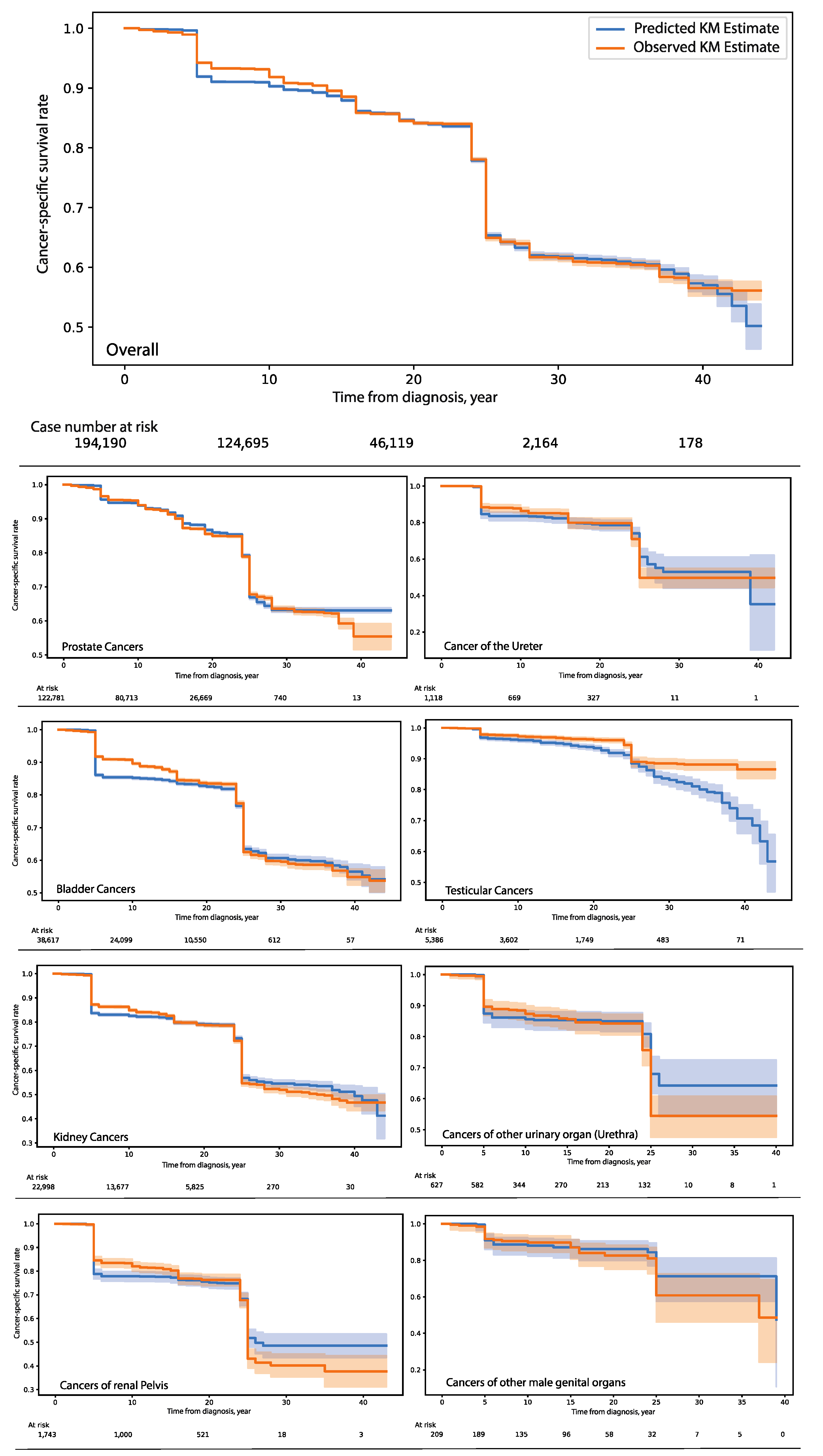 Cancers 14 03135 g001