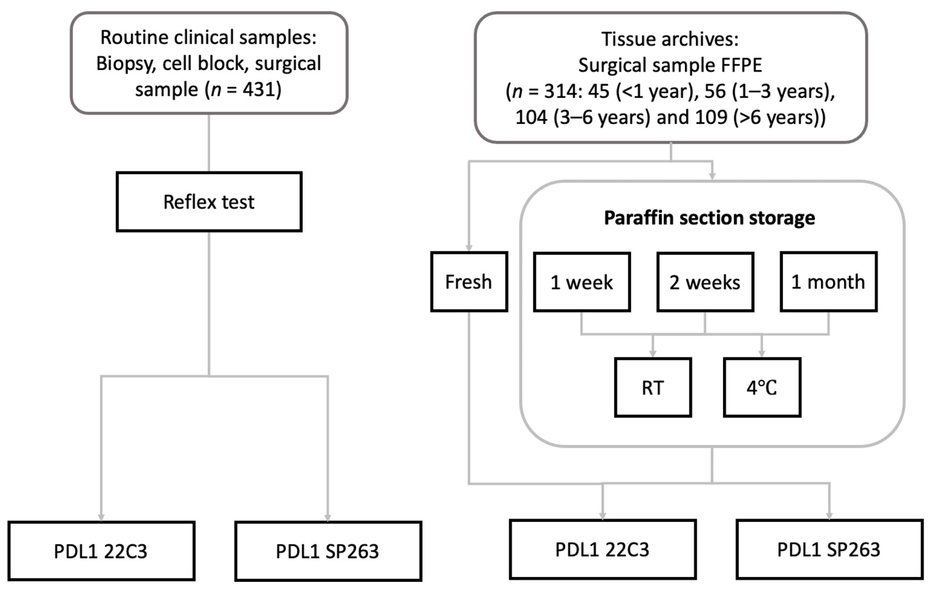 Cancers 14 03138 g001