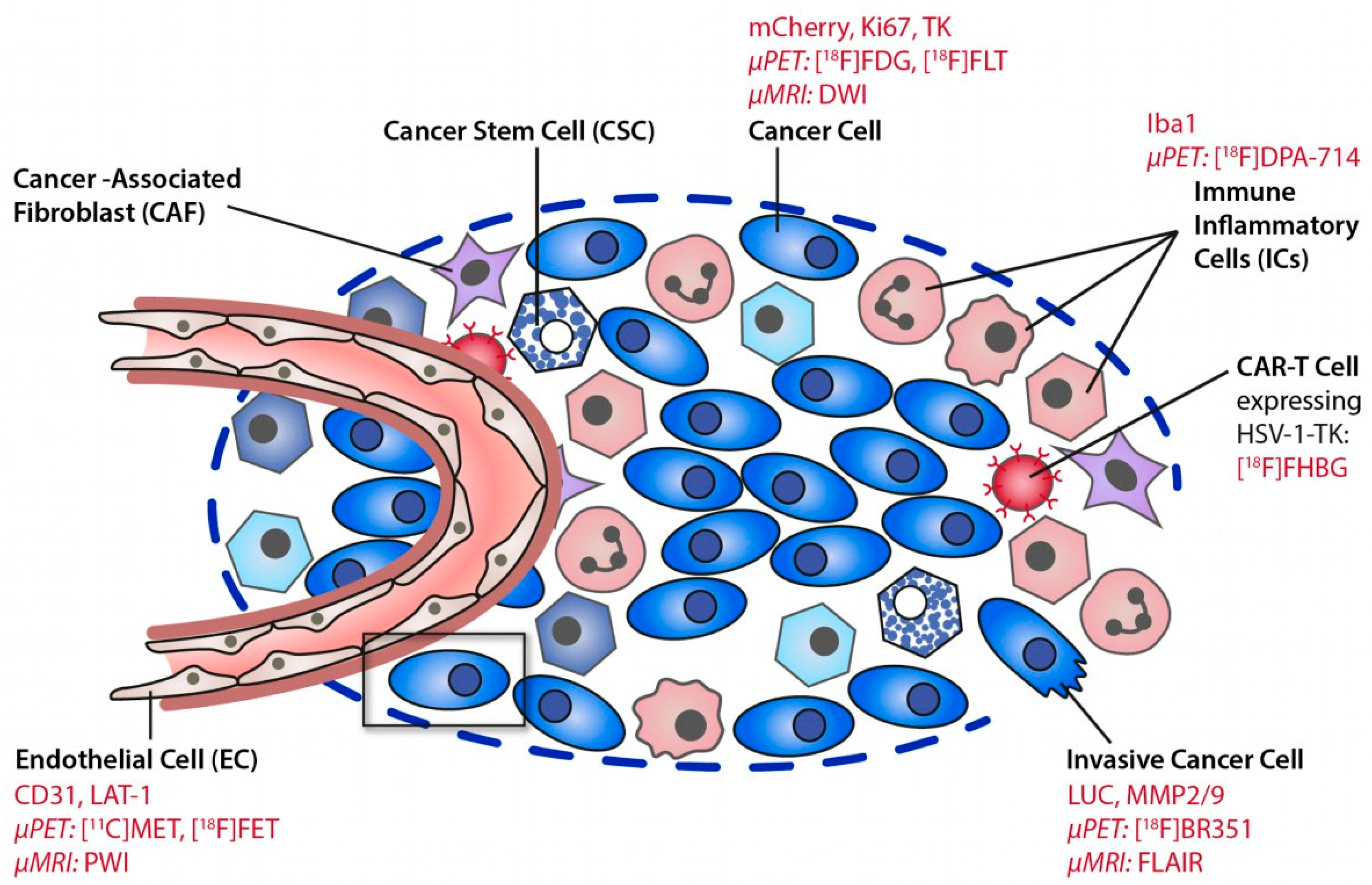 Cancers 14 03139 g001 Cancers 14 03139 g001