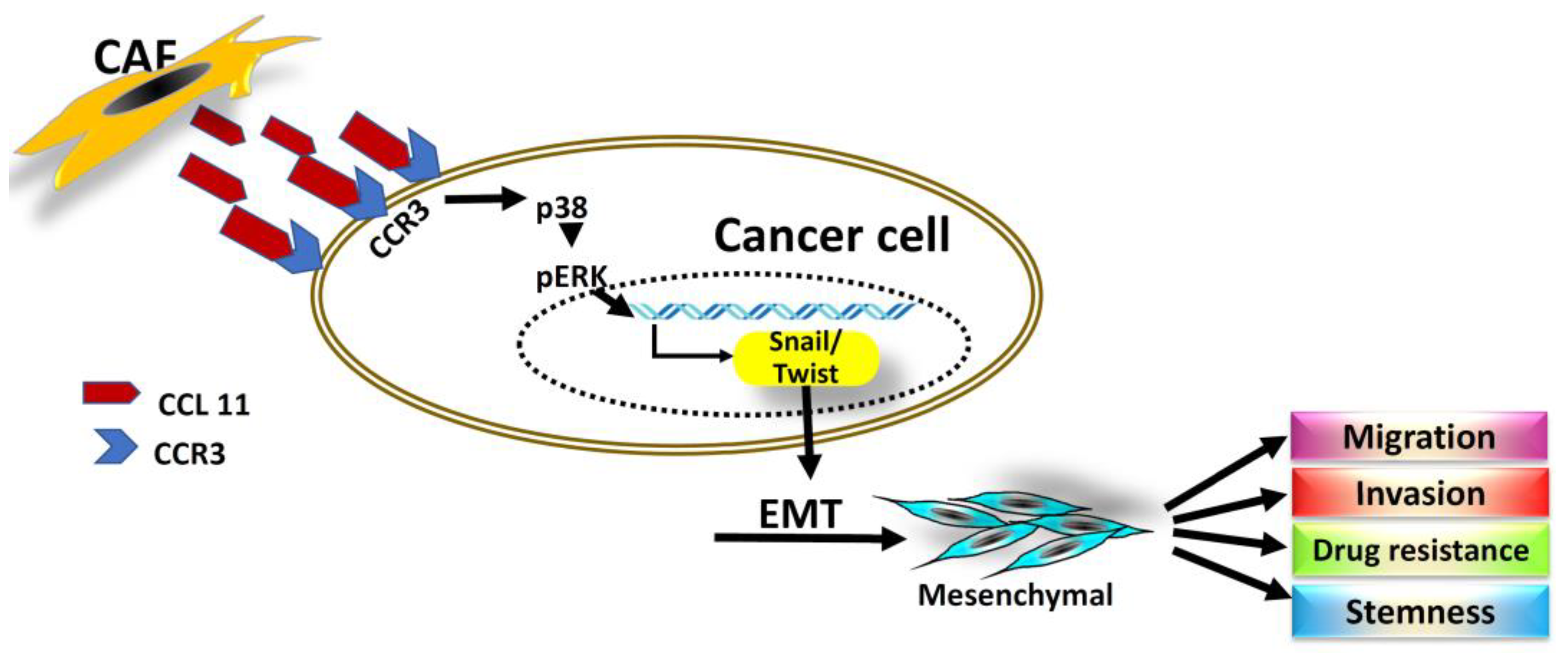 Cancers 14 03141 g005