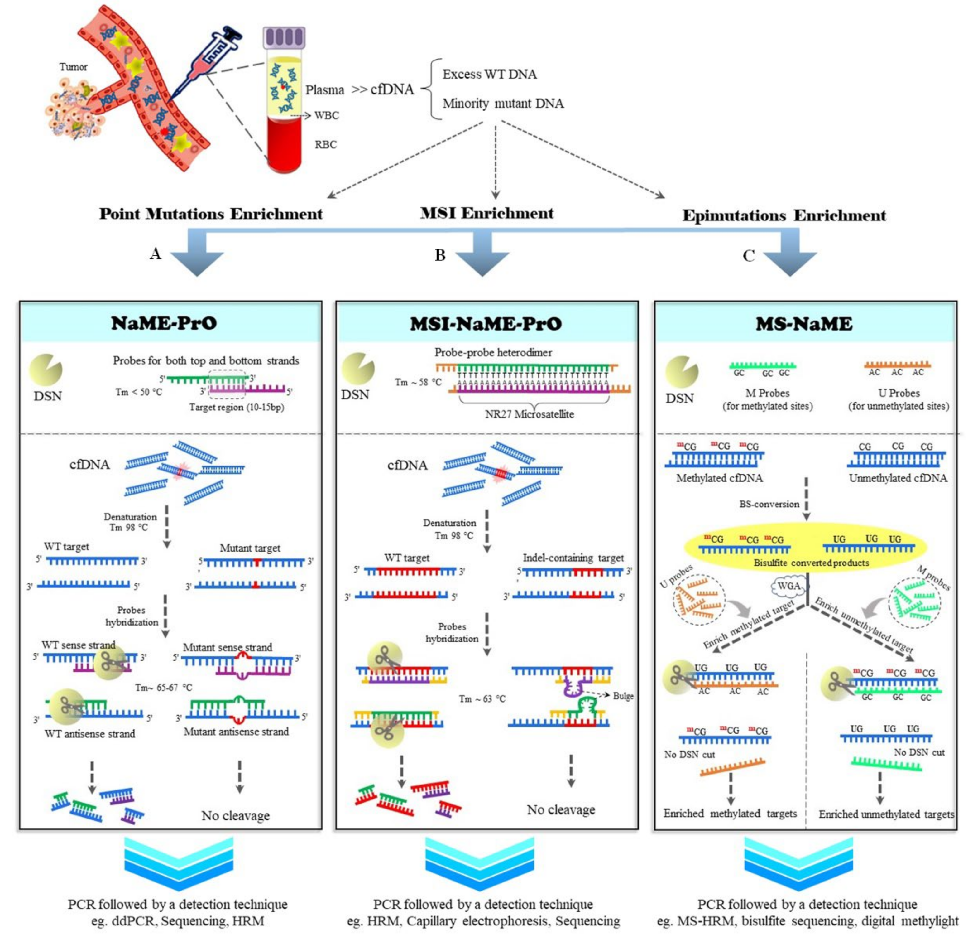 Cancers 14 03143 g001