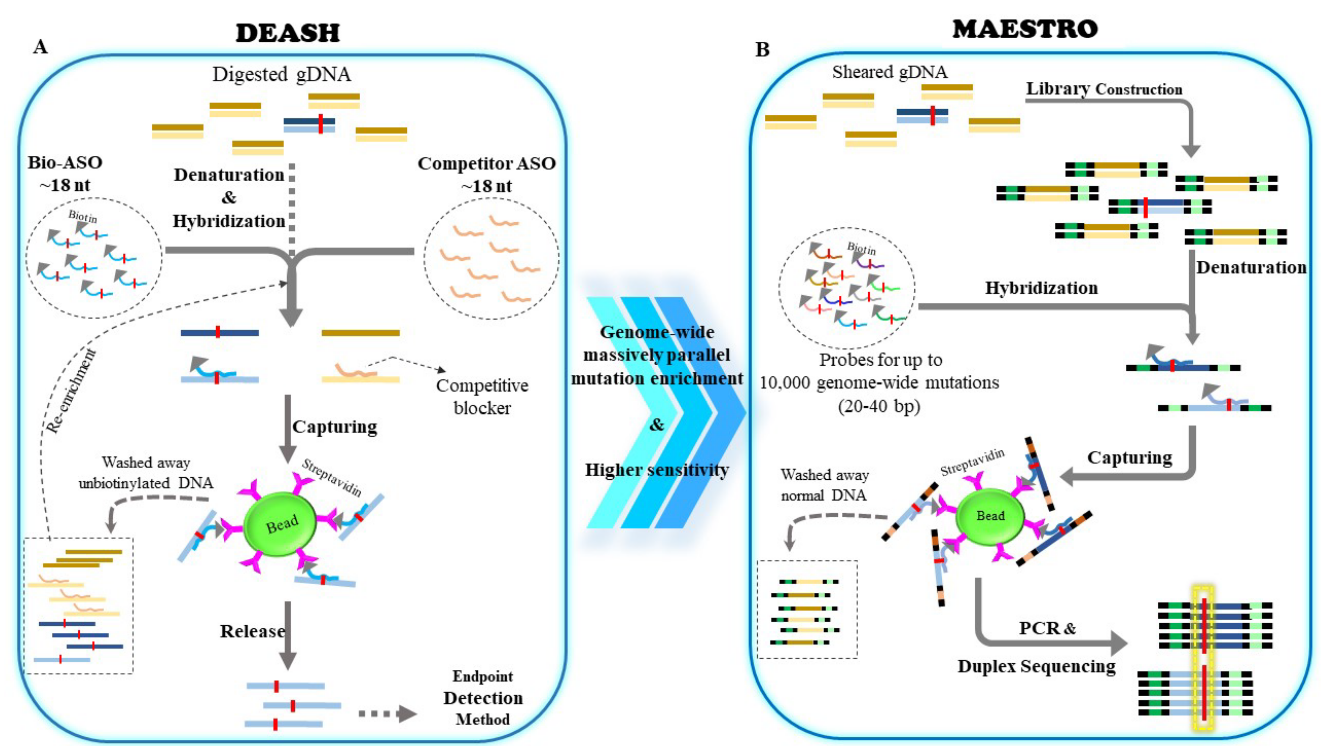 Cancers 14 03143 g003
