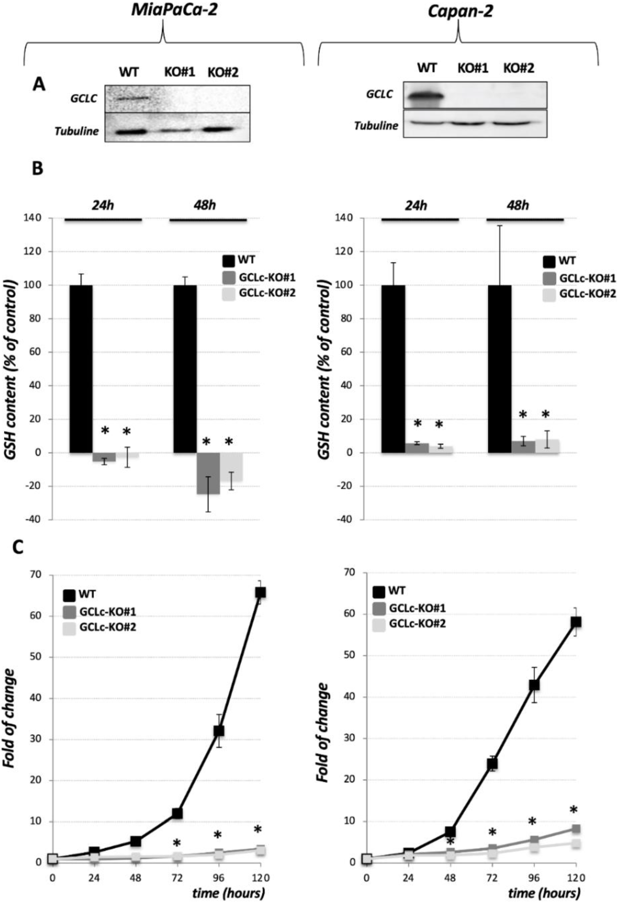 Cancers 14 03154 g001