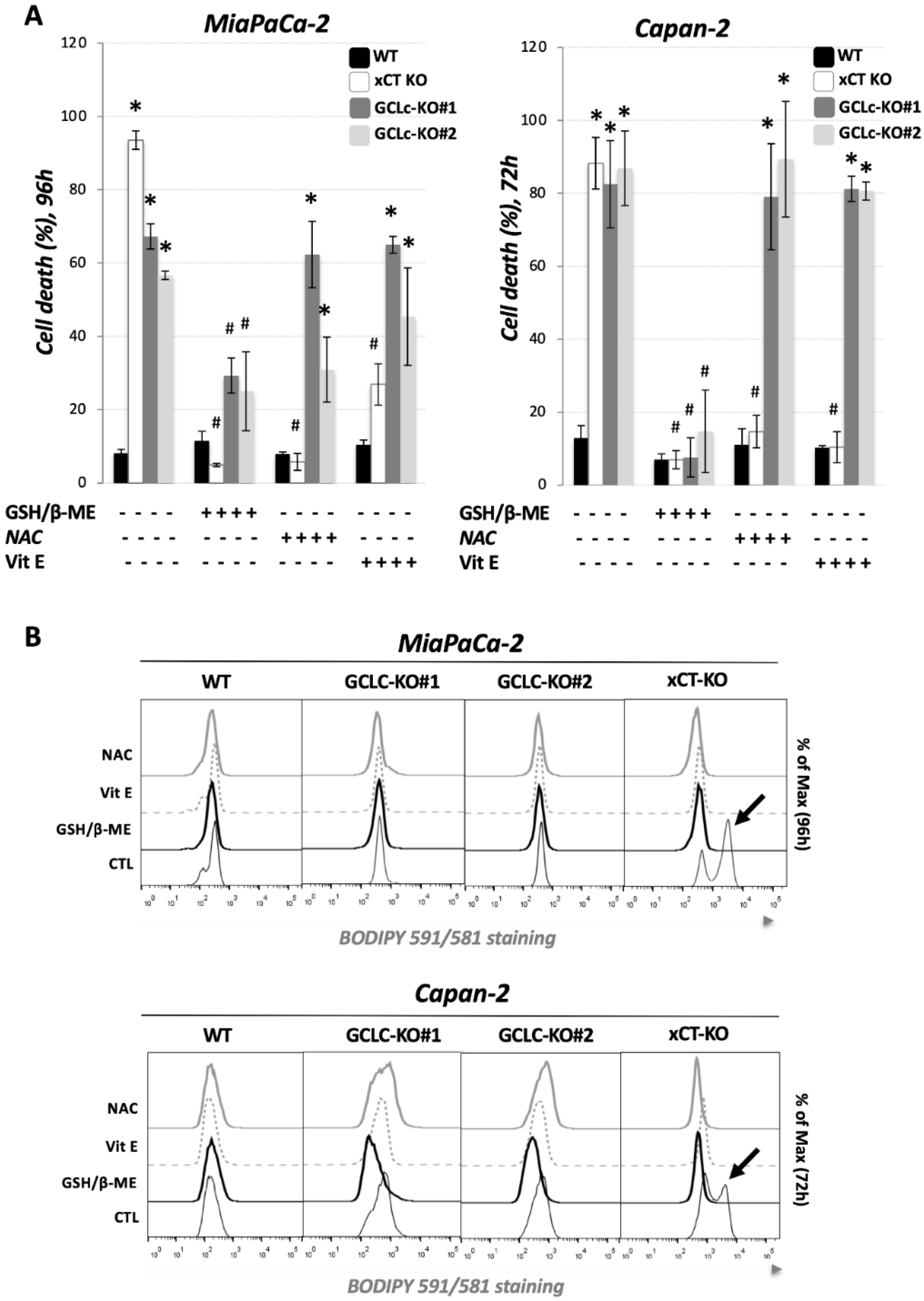 Cancers 14 03154 g002