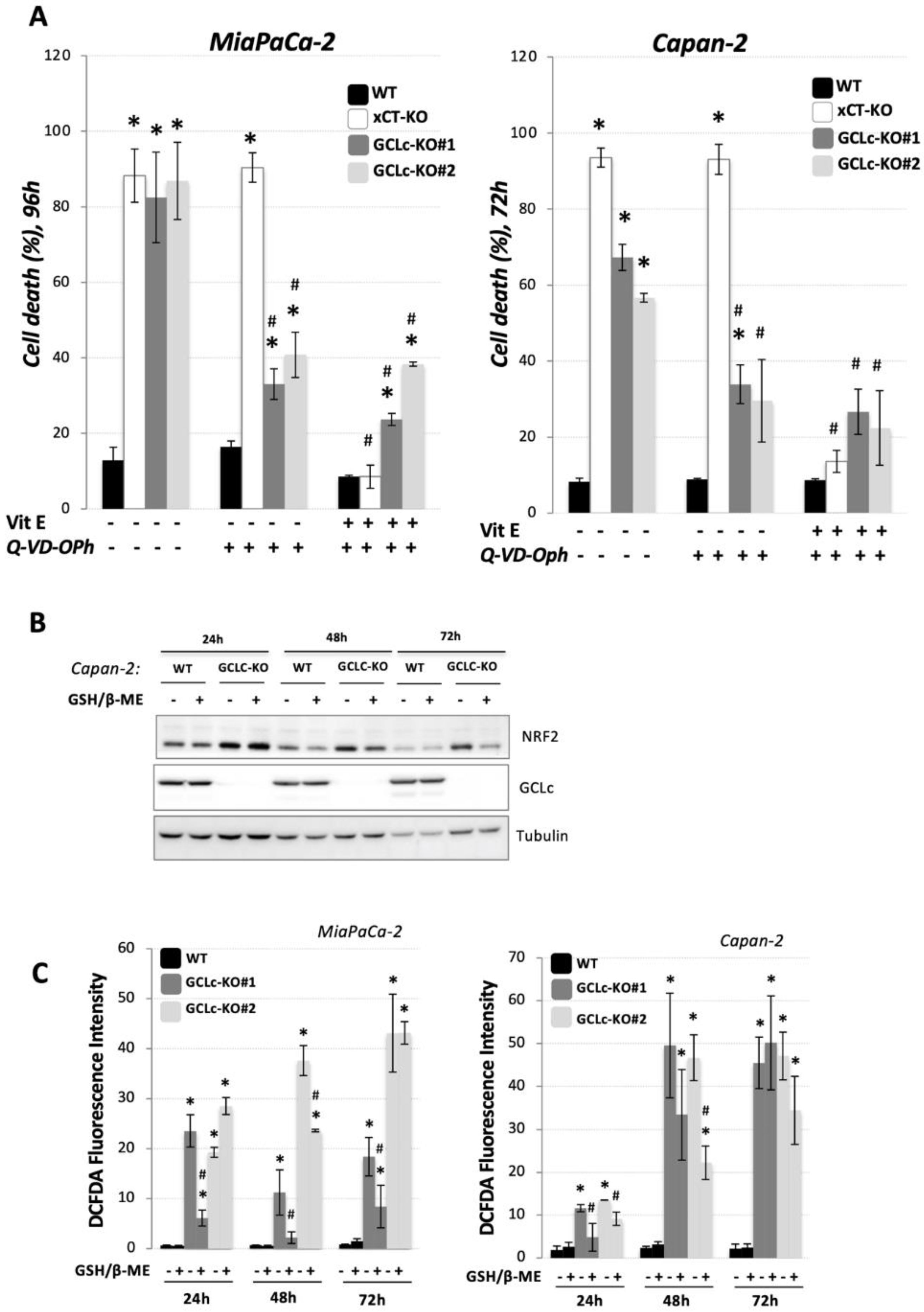 Cancers 14 03154 g003