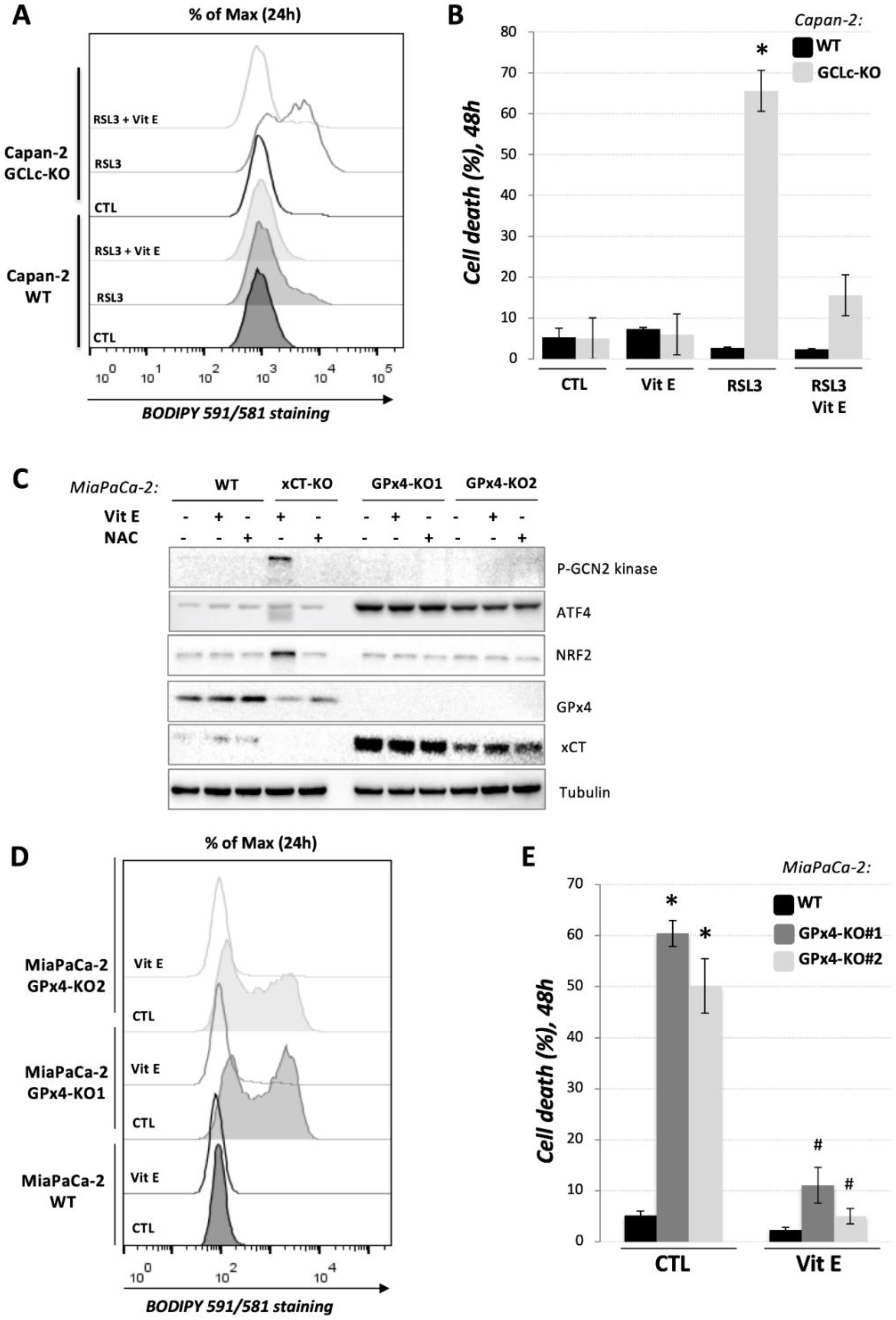 Cancers 14 03154 g004