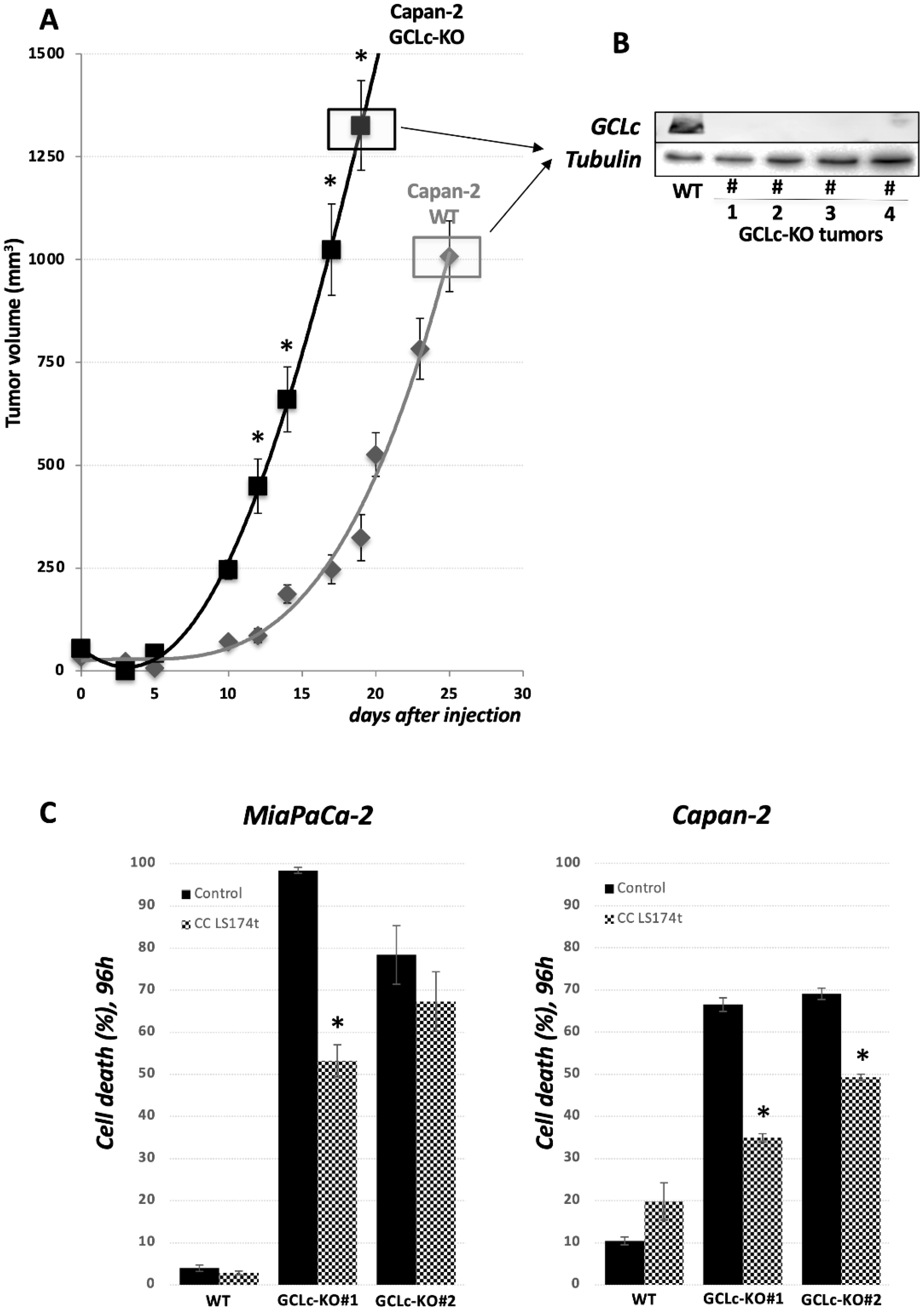 Cancers 14 03154 g006