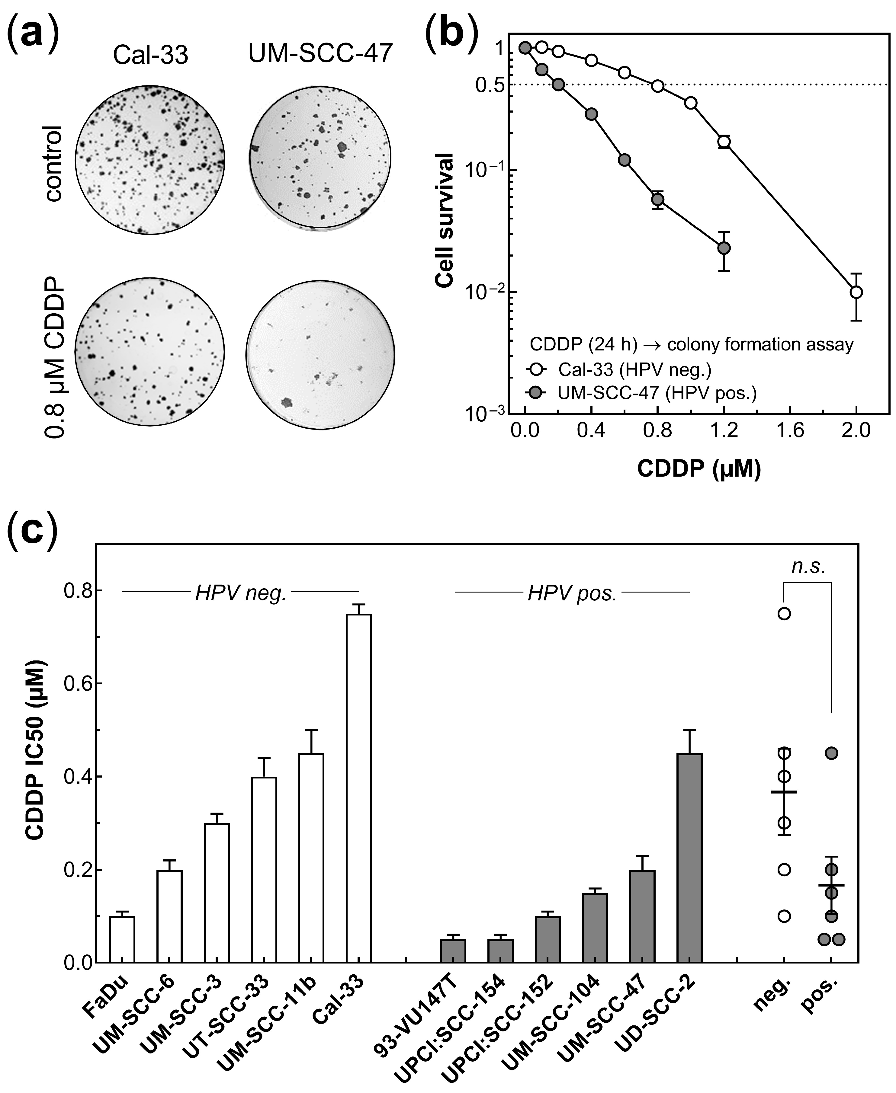 Cancers 14 03160 g001