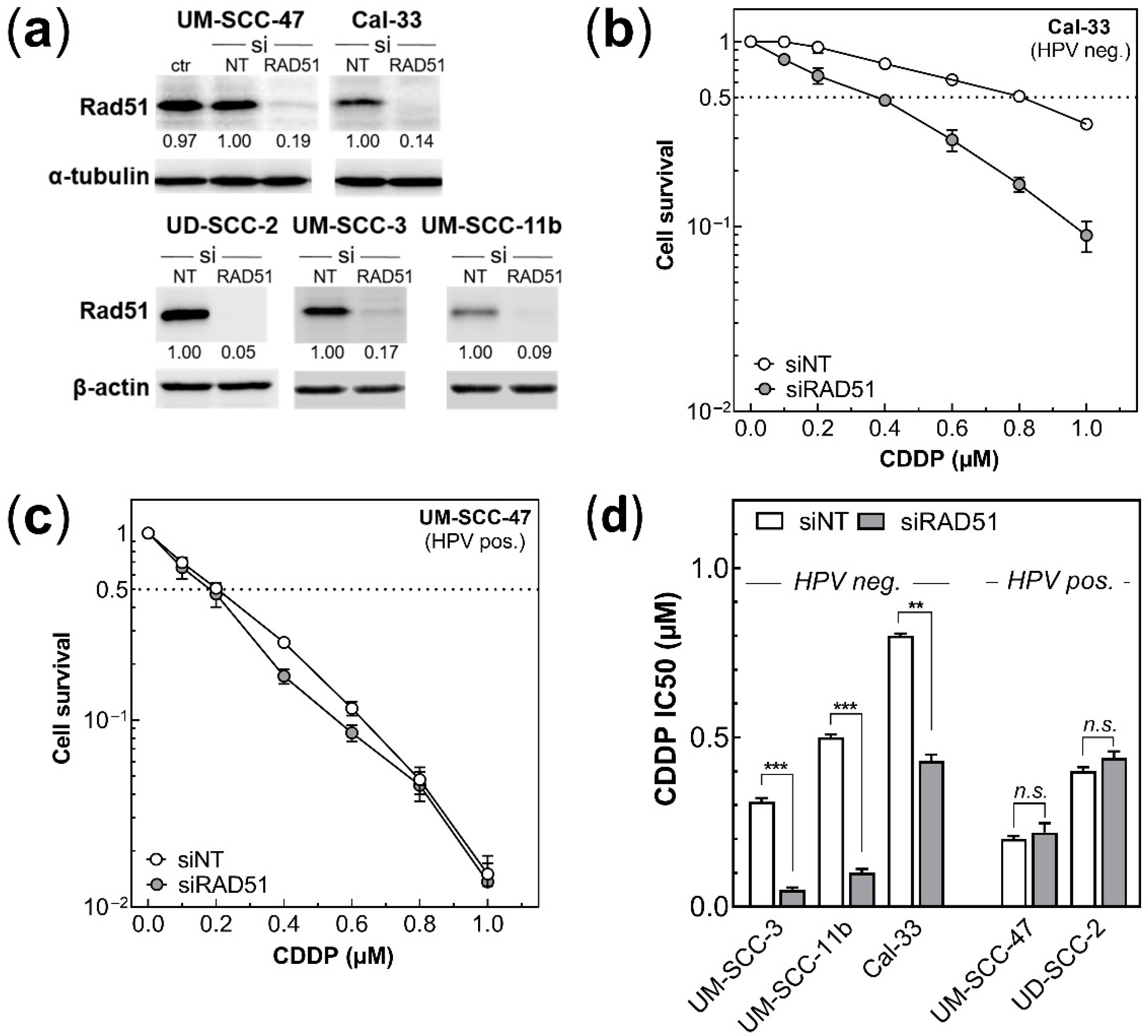 Cancers 14 03160 g002