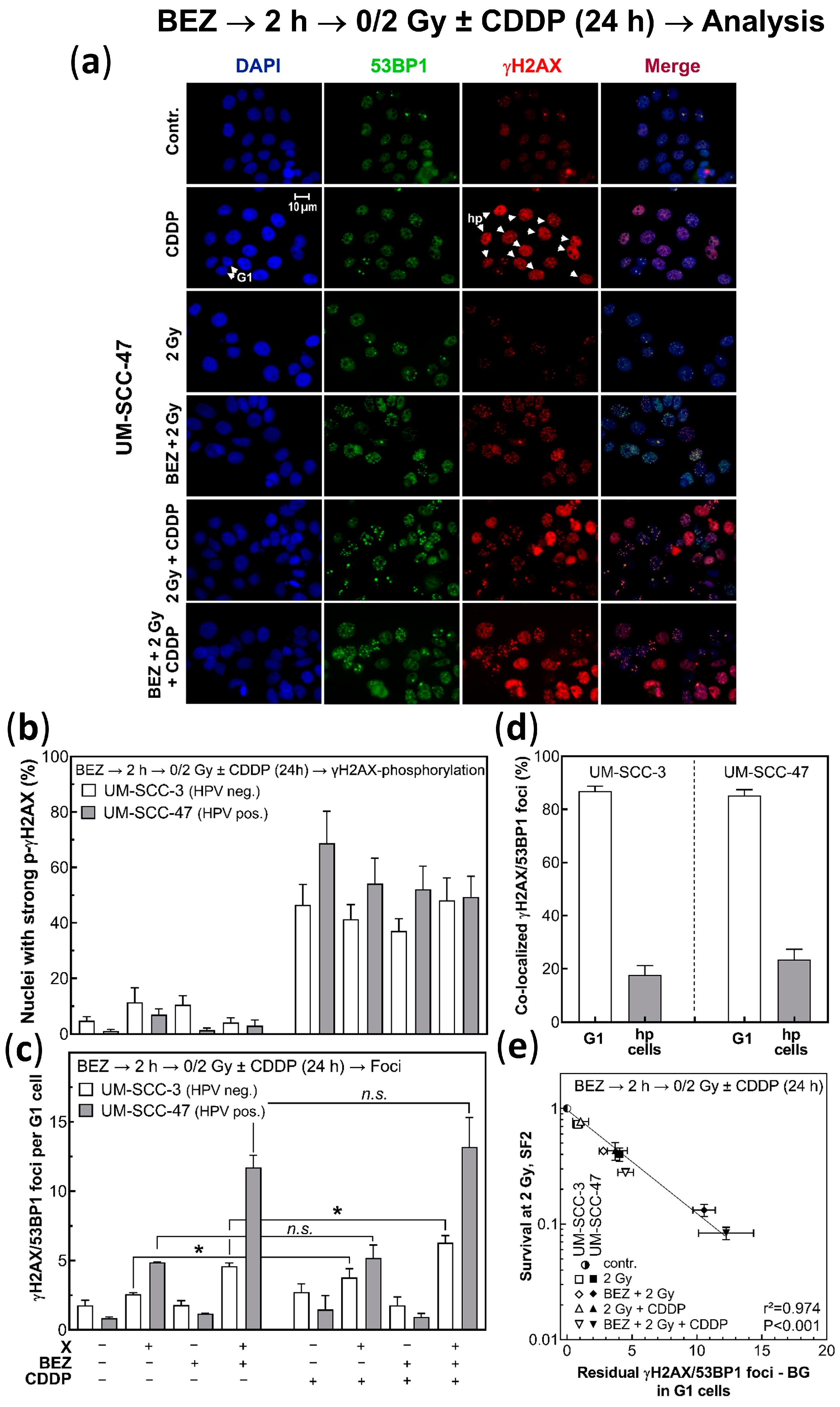 Cancers 14 03160 g005