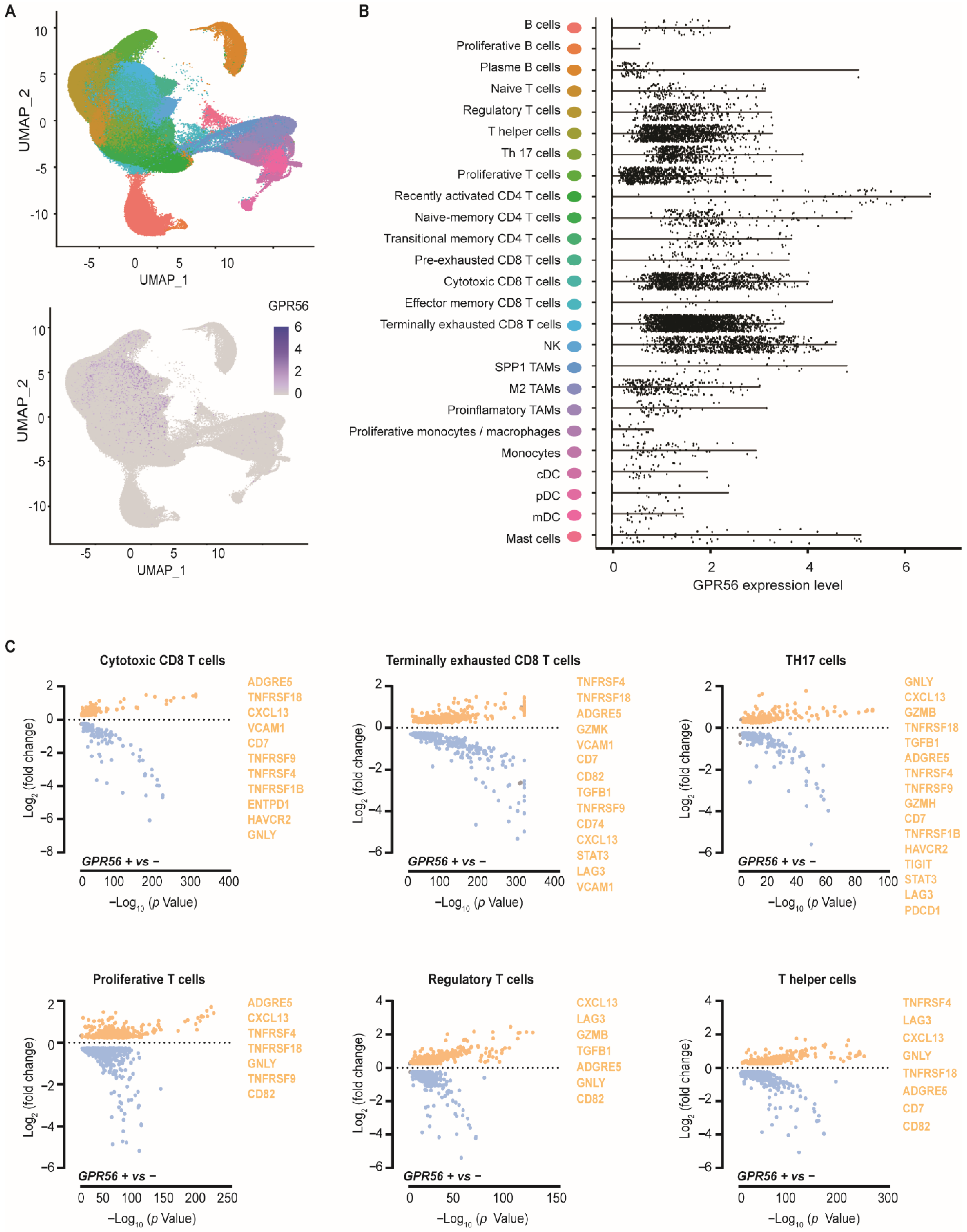 Cancers 14 03164 g001