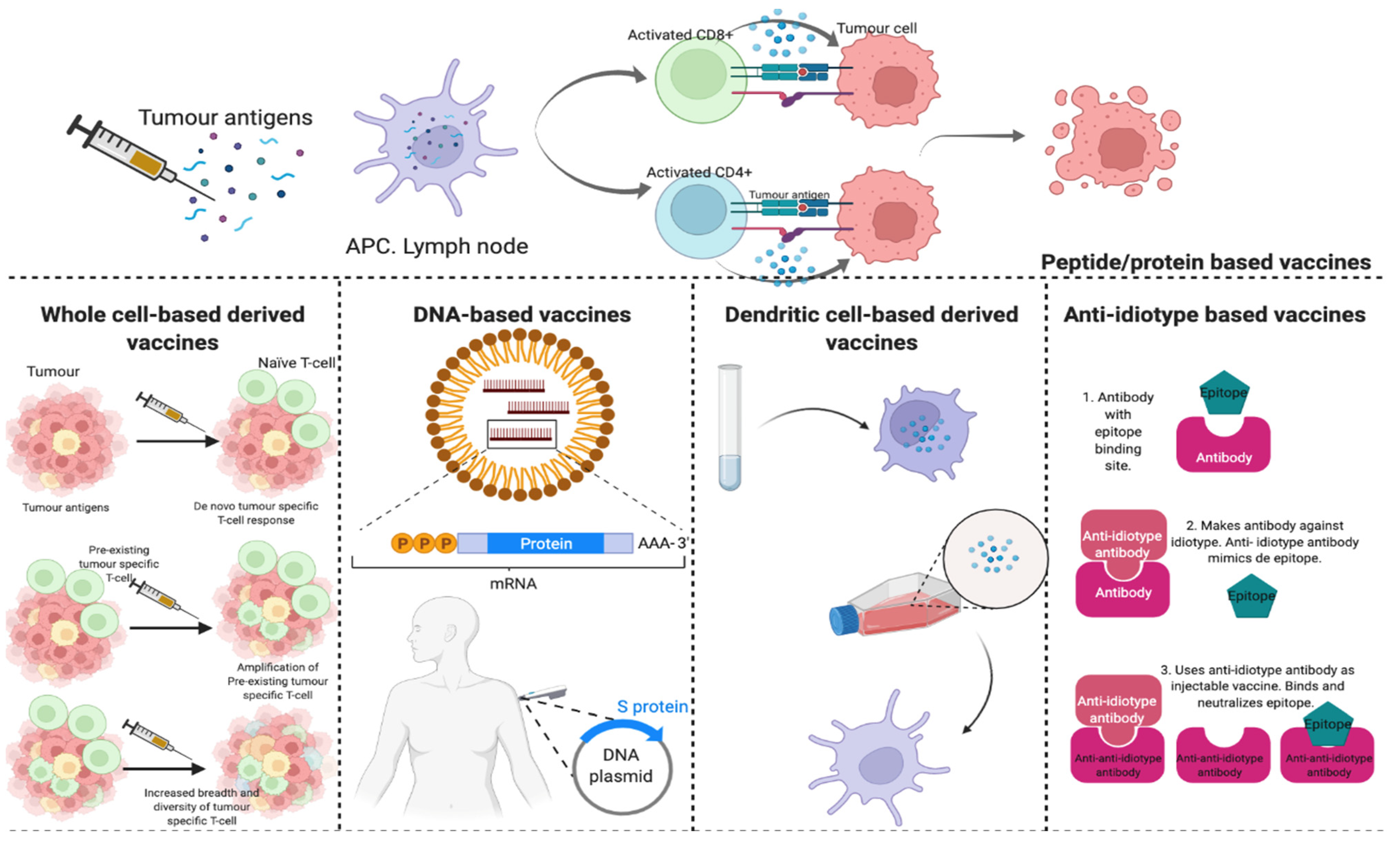 Cancers 14 03167 g002