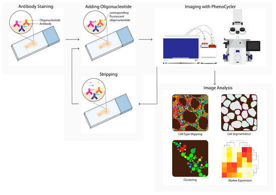 Cancers 14 03170 g003