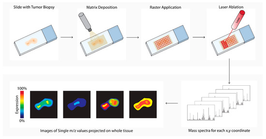 Cancers 14 03170 g006