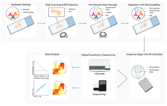 Cancers 14 03170 g007