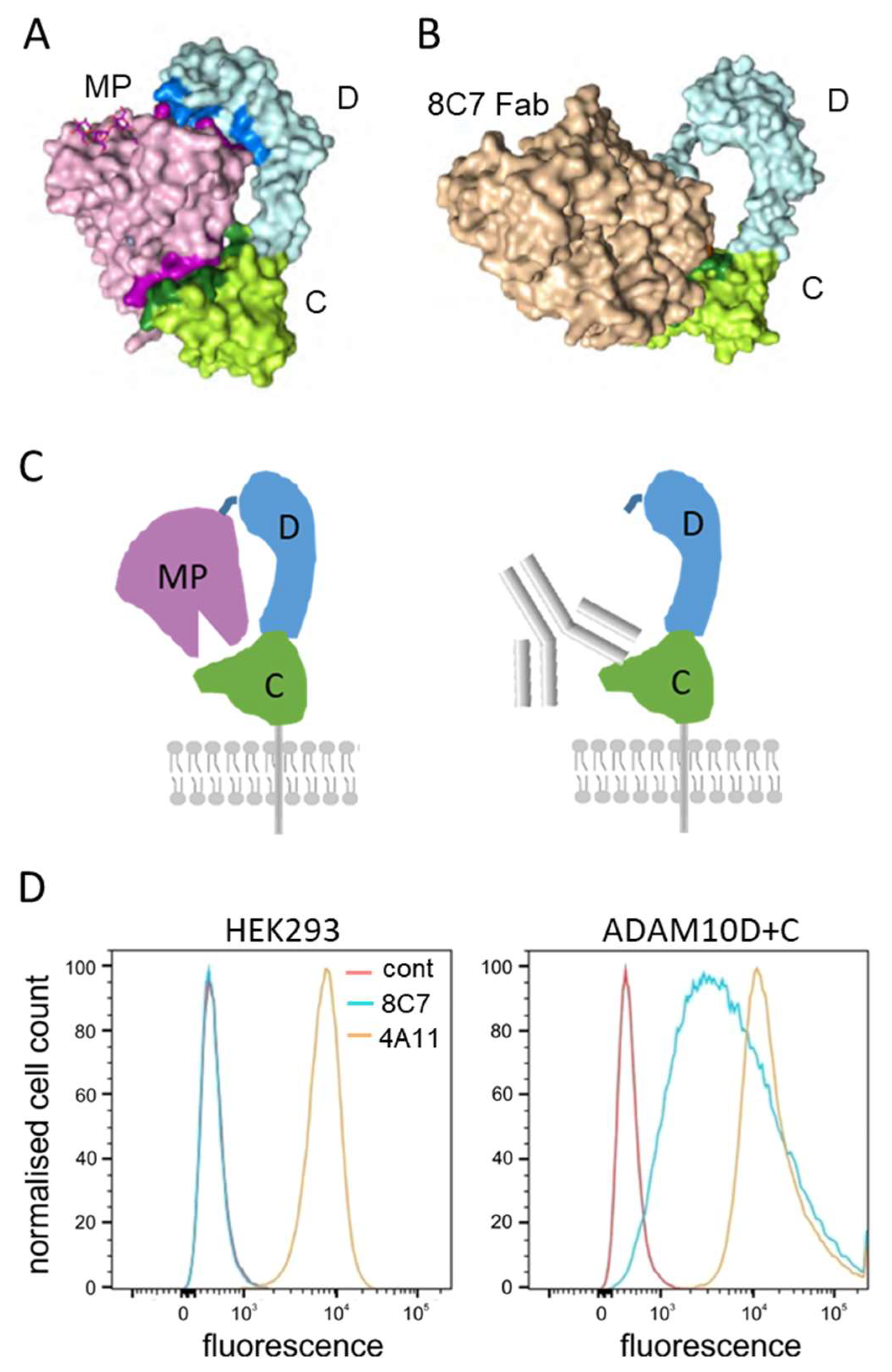 Cancers 14 03171 g003