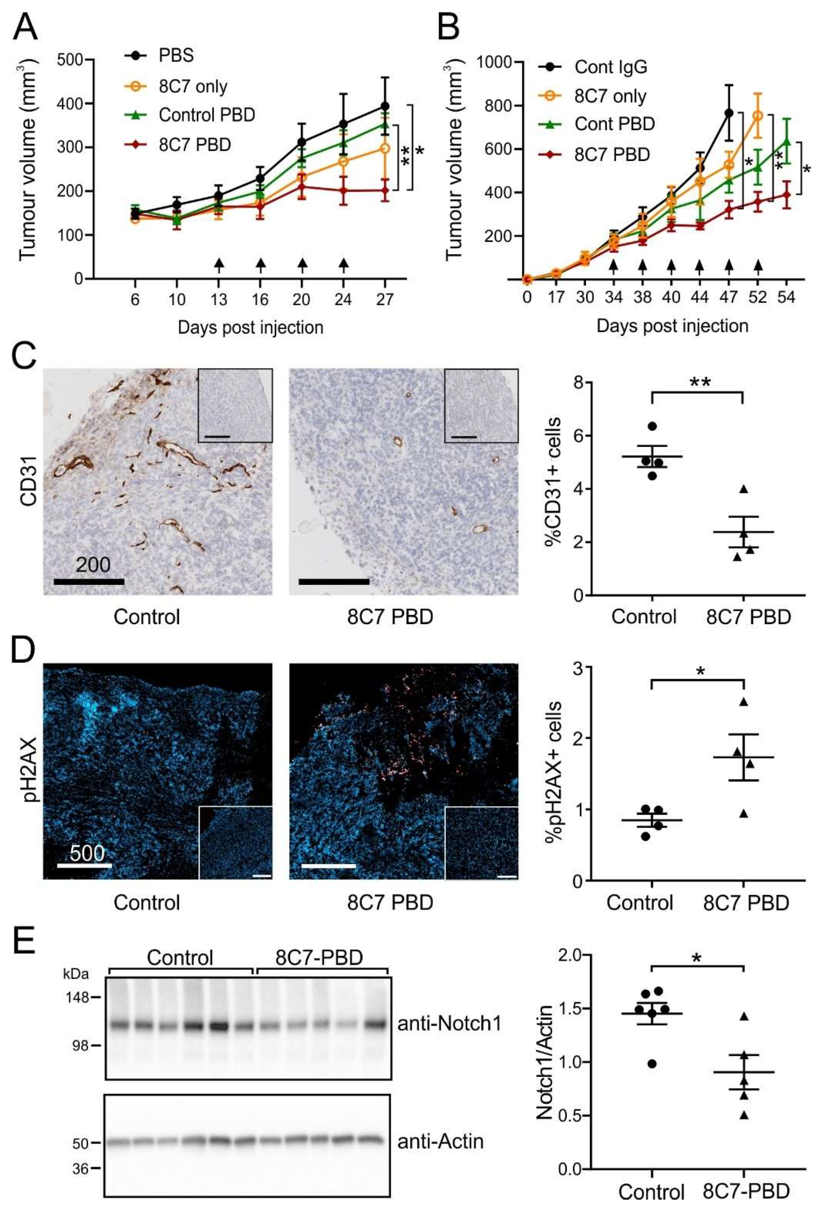 Cancers 14 03171 g005