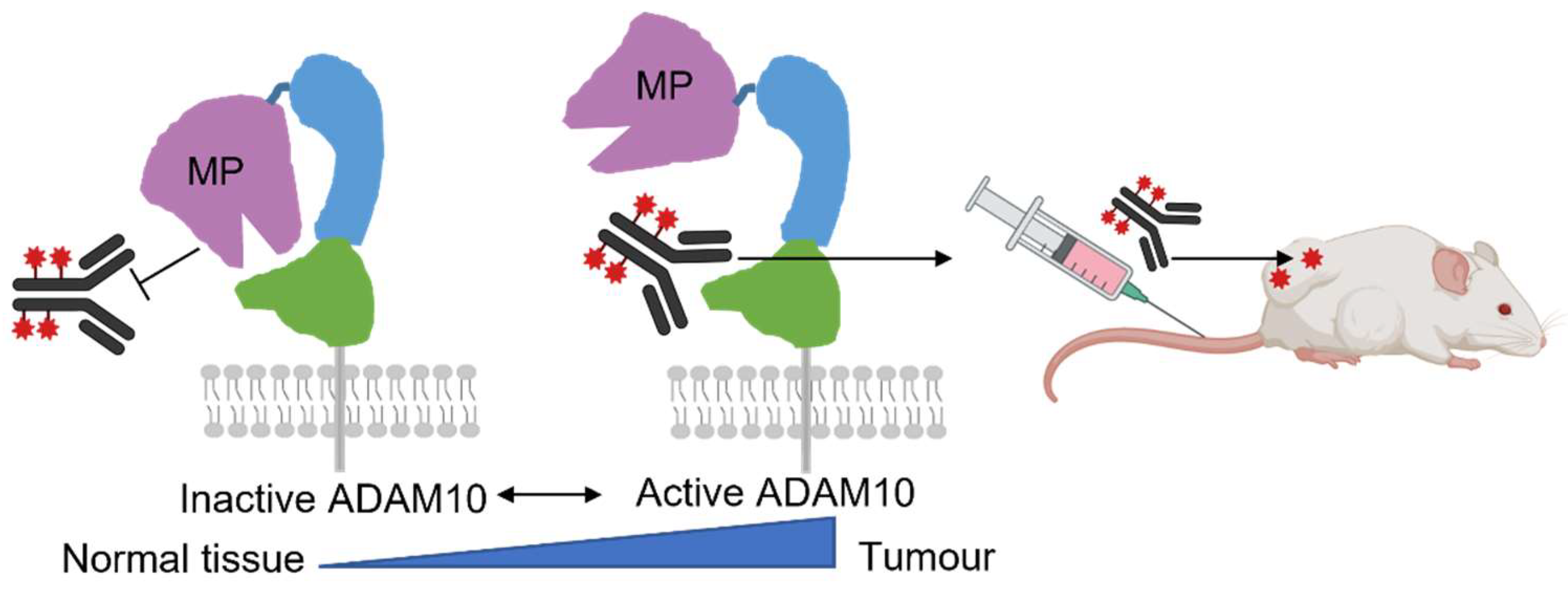 Cancers 14 03171 g006