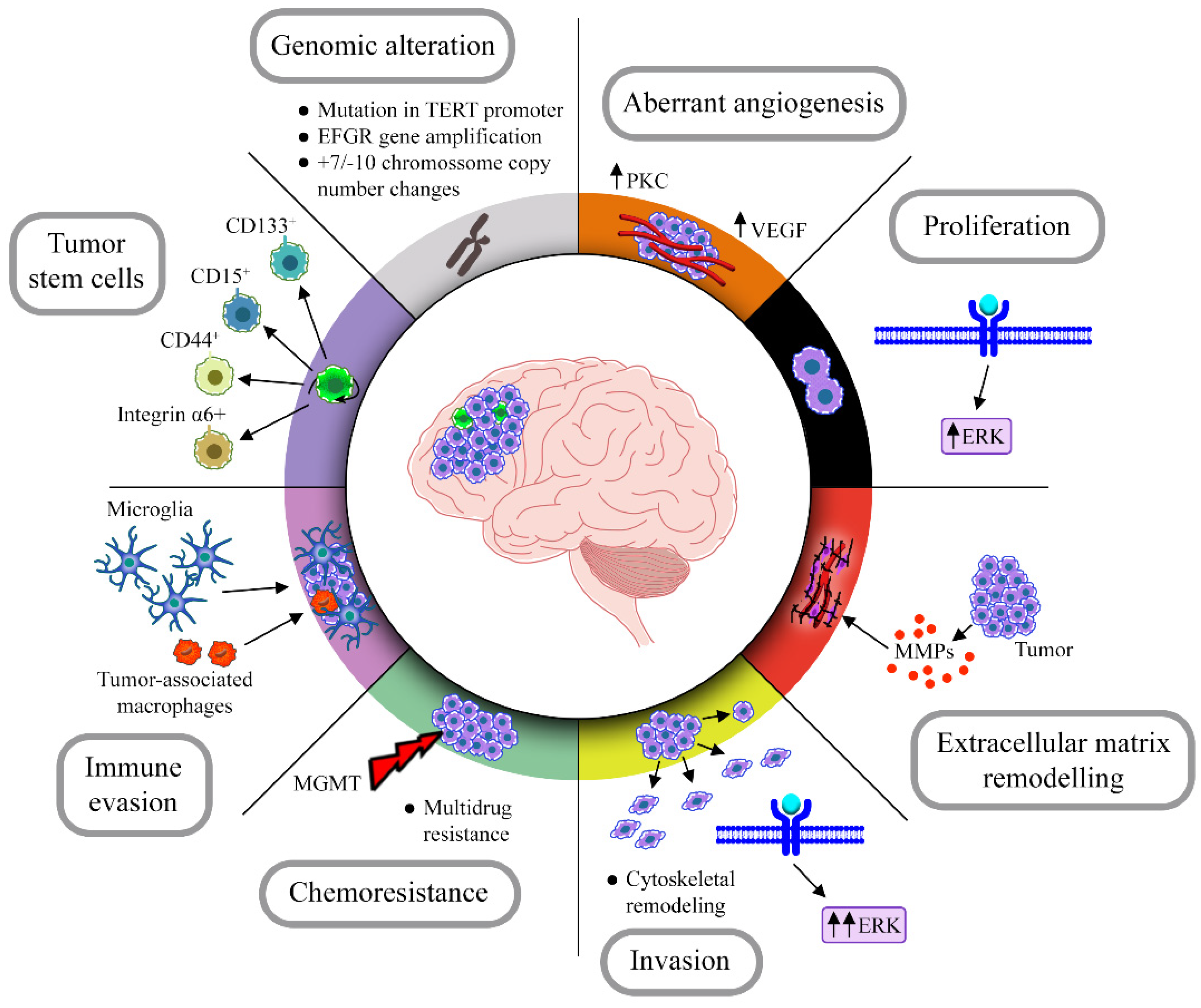 Cancers 14 03203 g001 Cancers 14 03203 g001