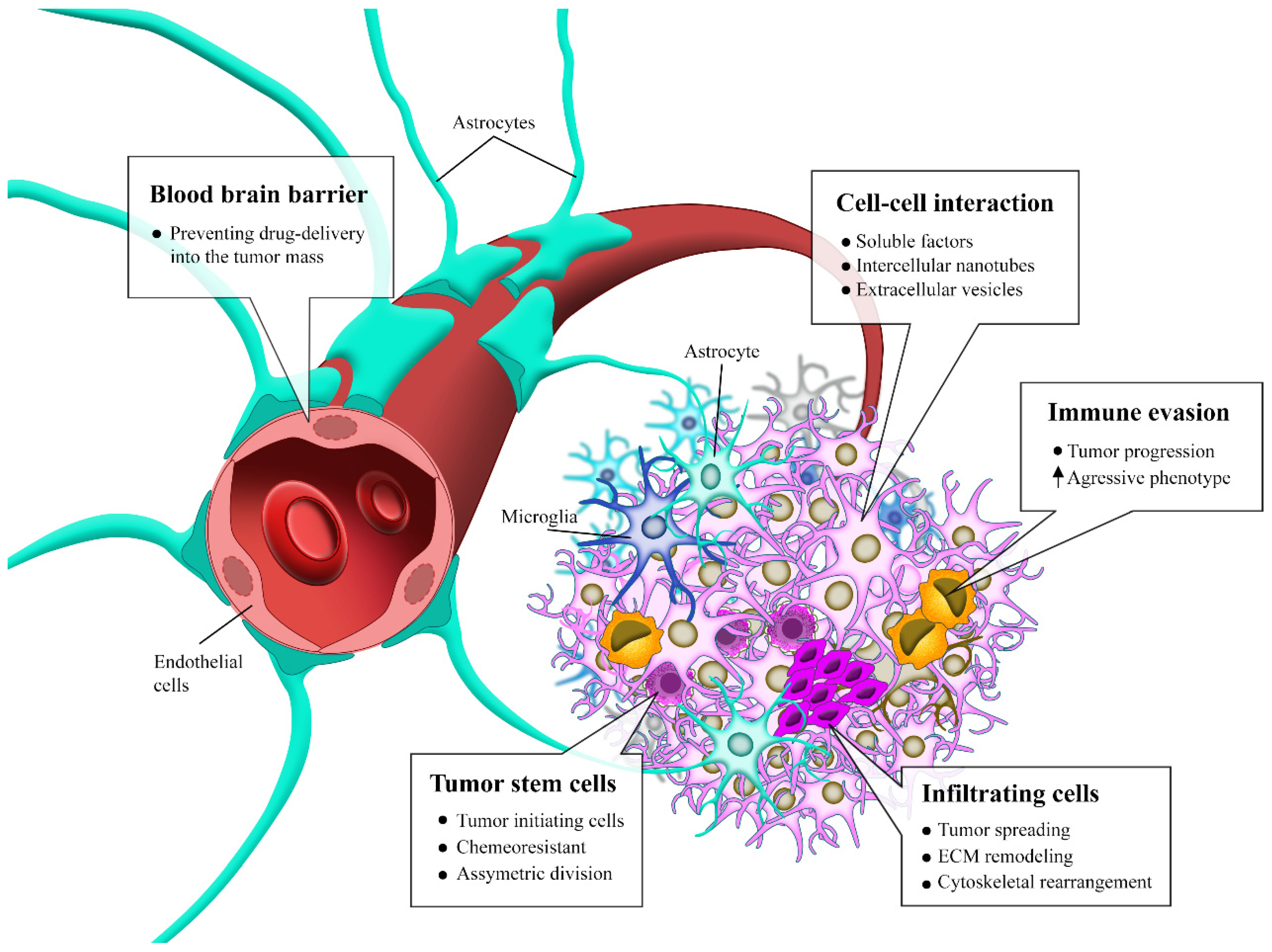 Cancers 14 03203 g002 Cancers 14 03203 g002