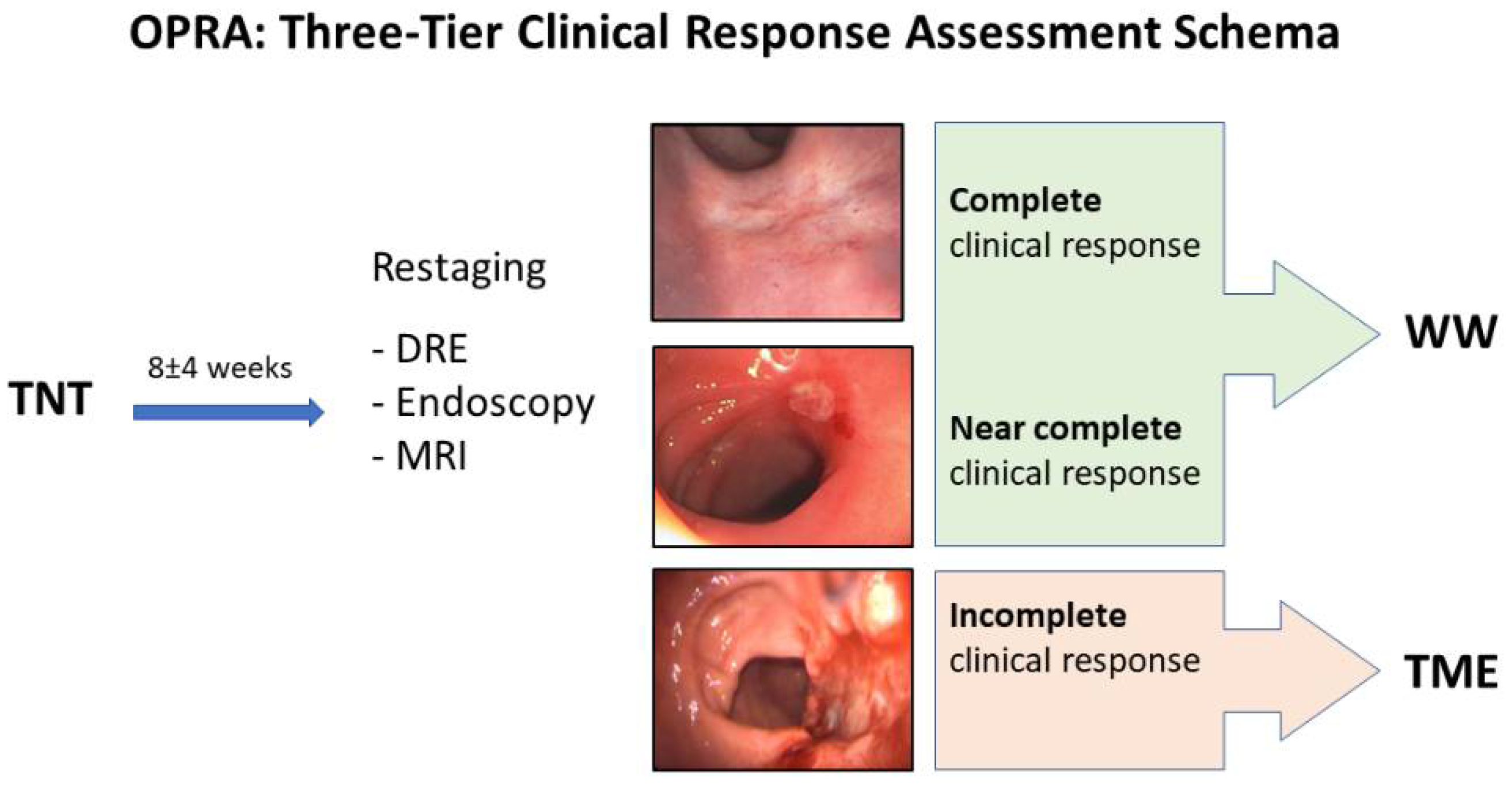Cancers 14 03204 g001