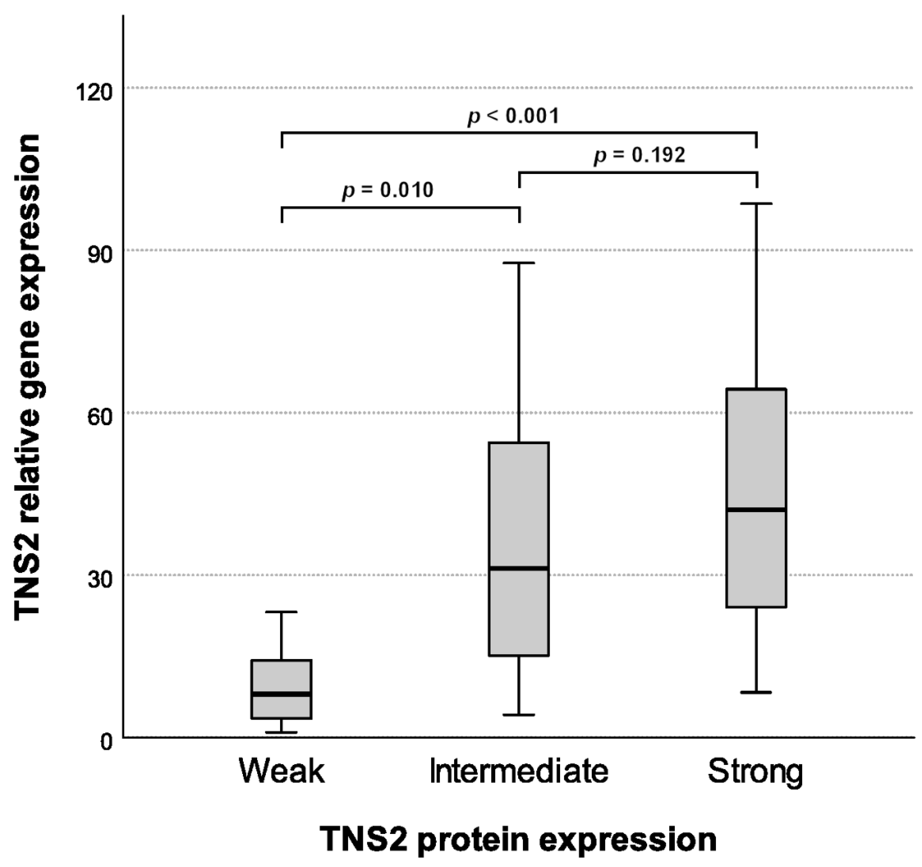 Cancers 14 03212 g003