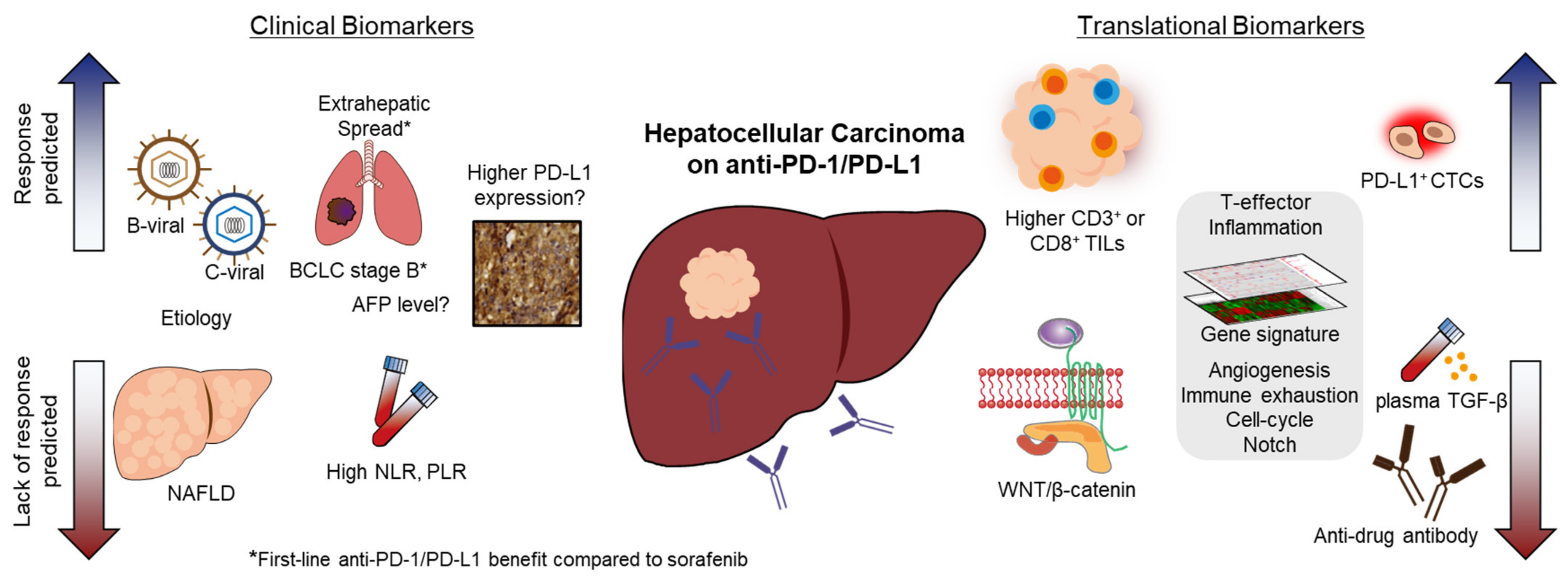 Cancers 14 03213 g001