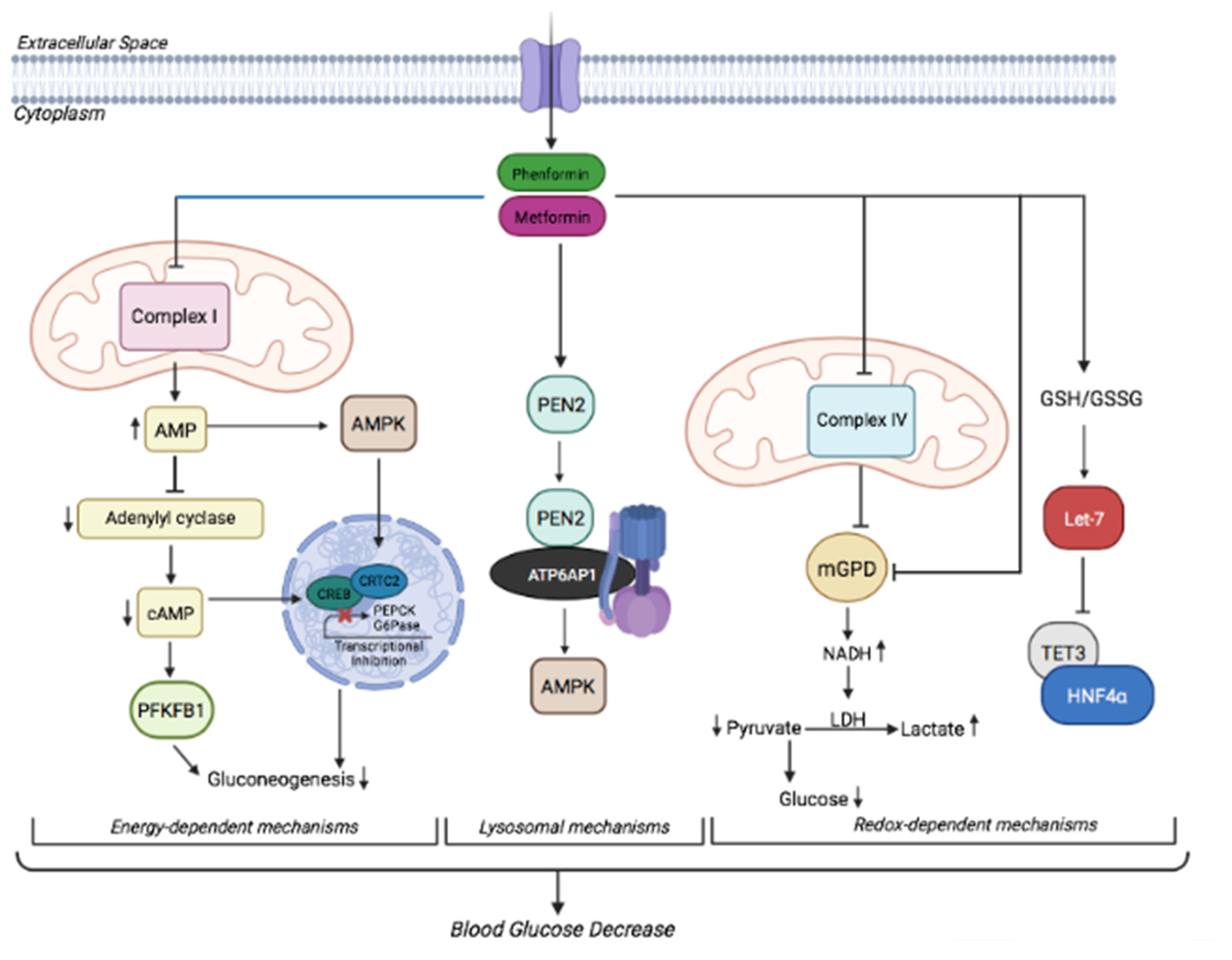 Cancers 14 03220 g001