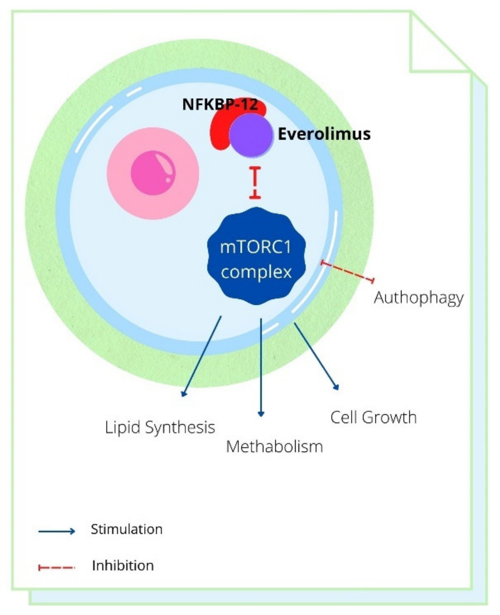 Cancers 14 03231 g001