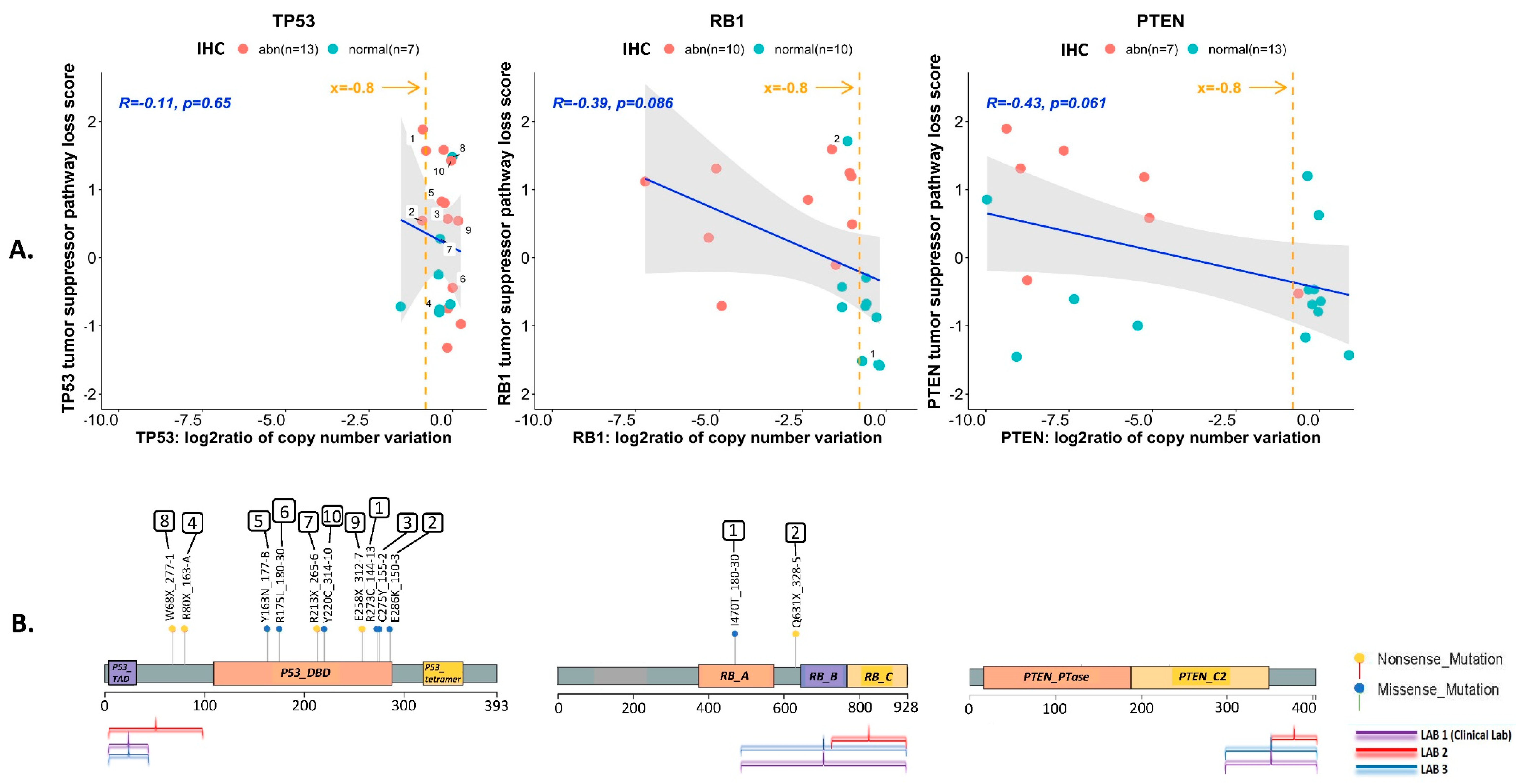 Cancers 14 03233 g004