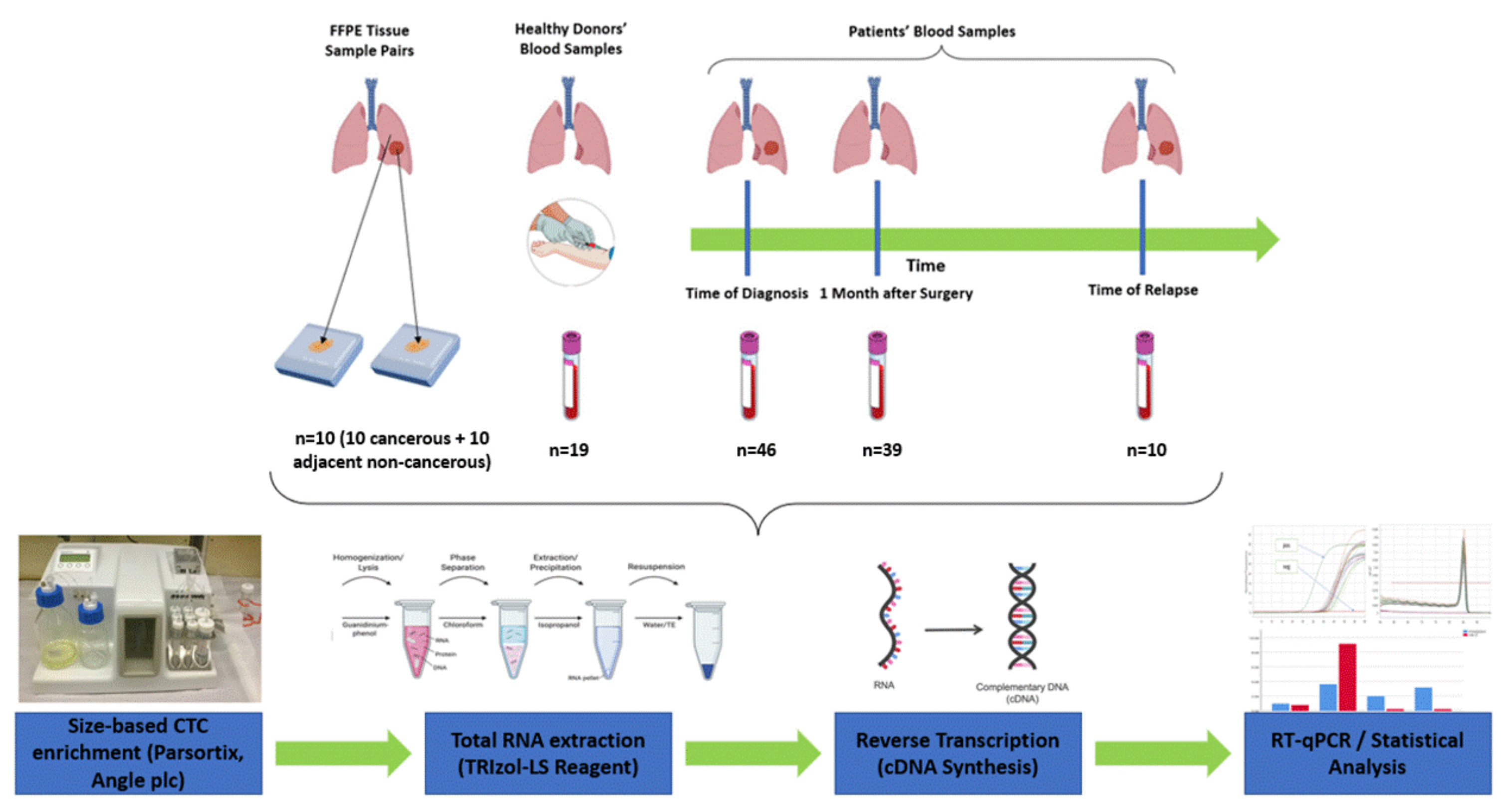 Cancers 14 03237 g001 Cancers 14 03237 g001