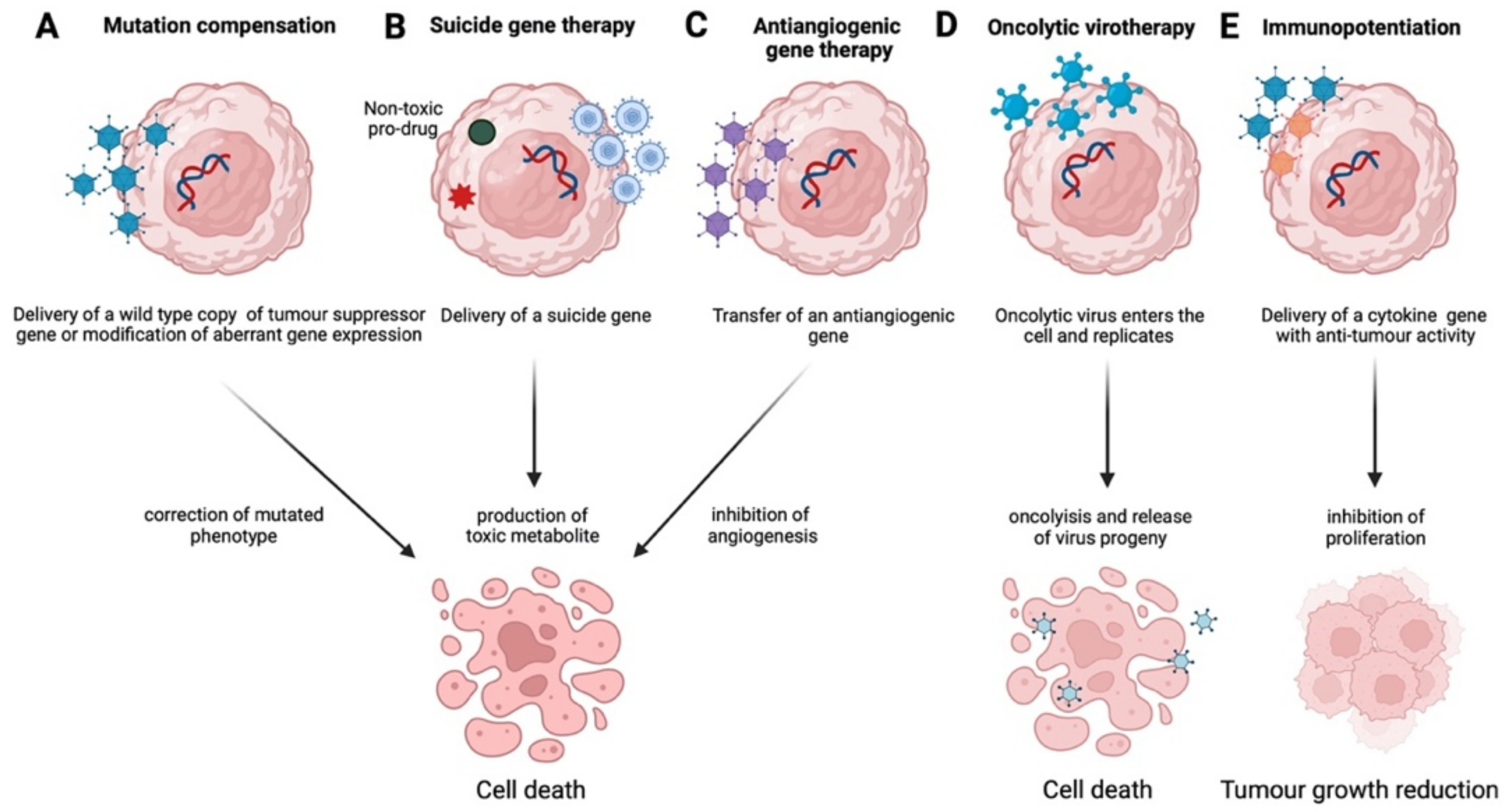 Cancers 14 03238 g002