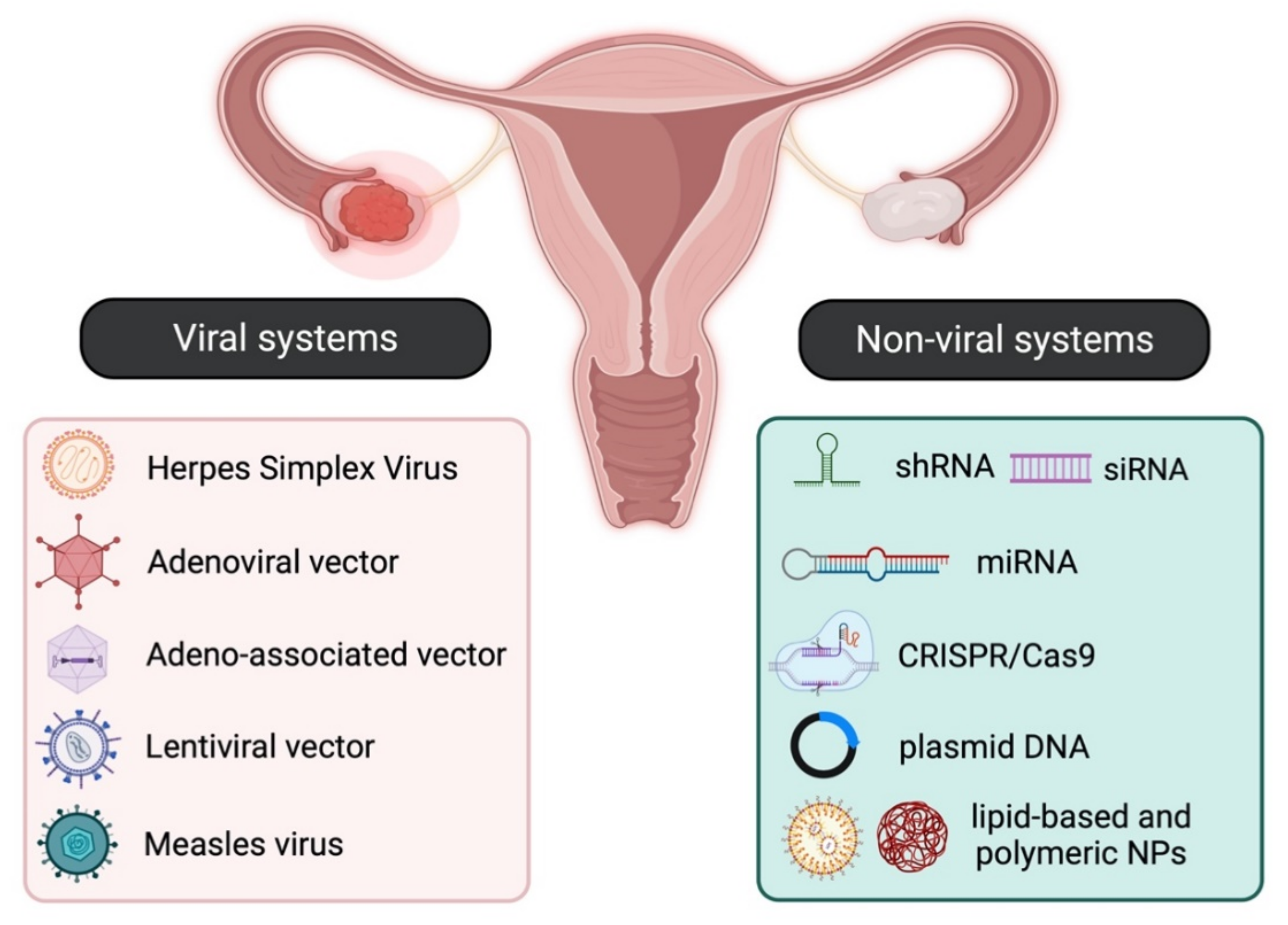 Cancers 14 03238 g003