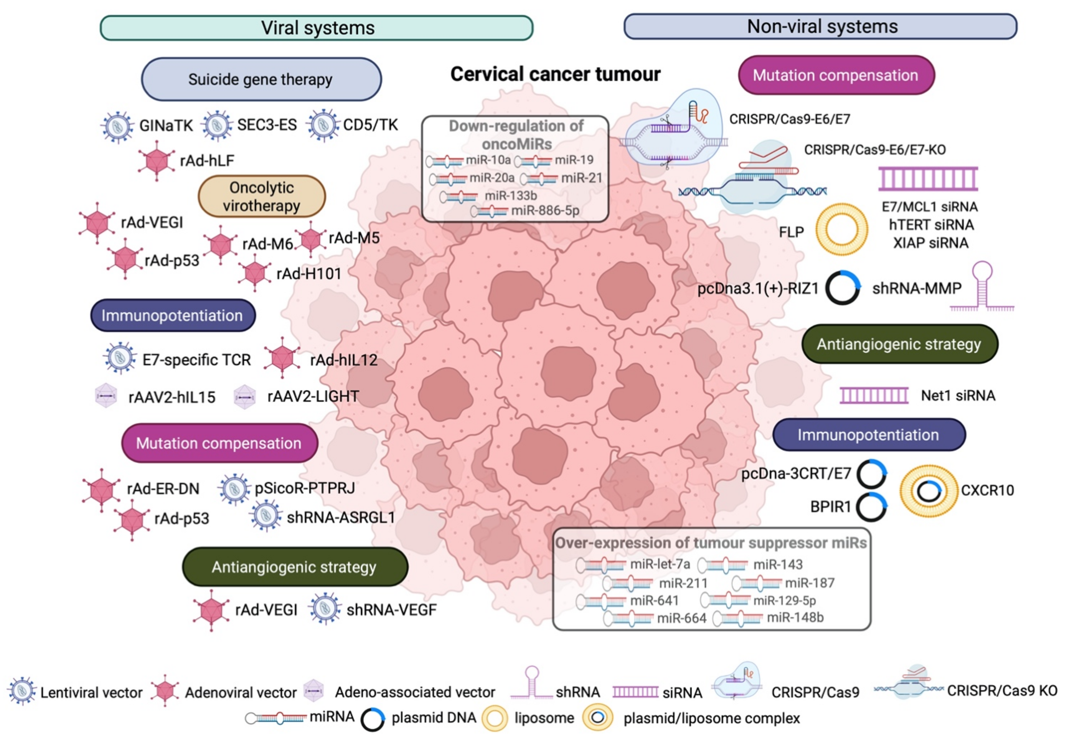 Cancers 14 03238 g004