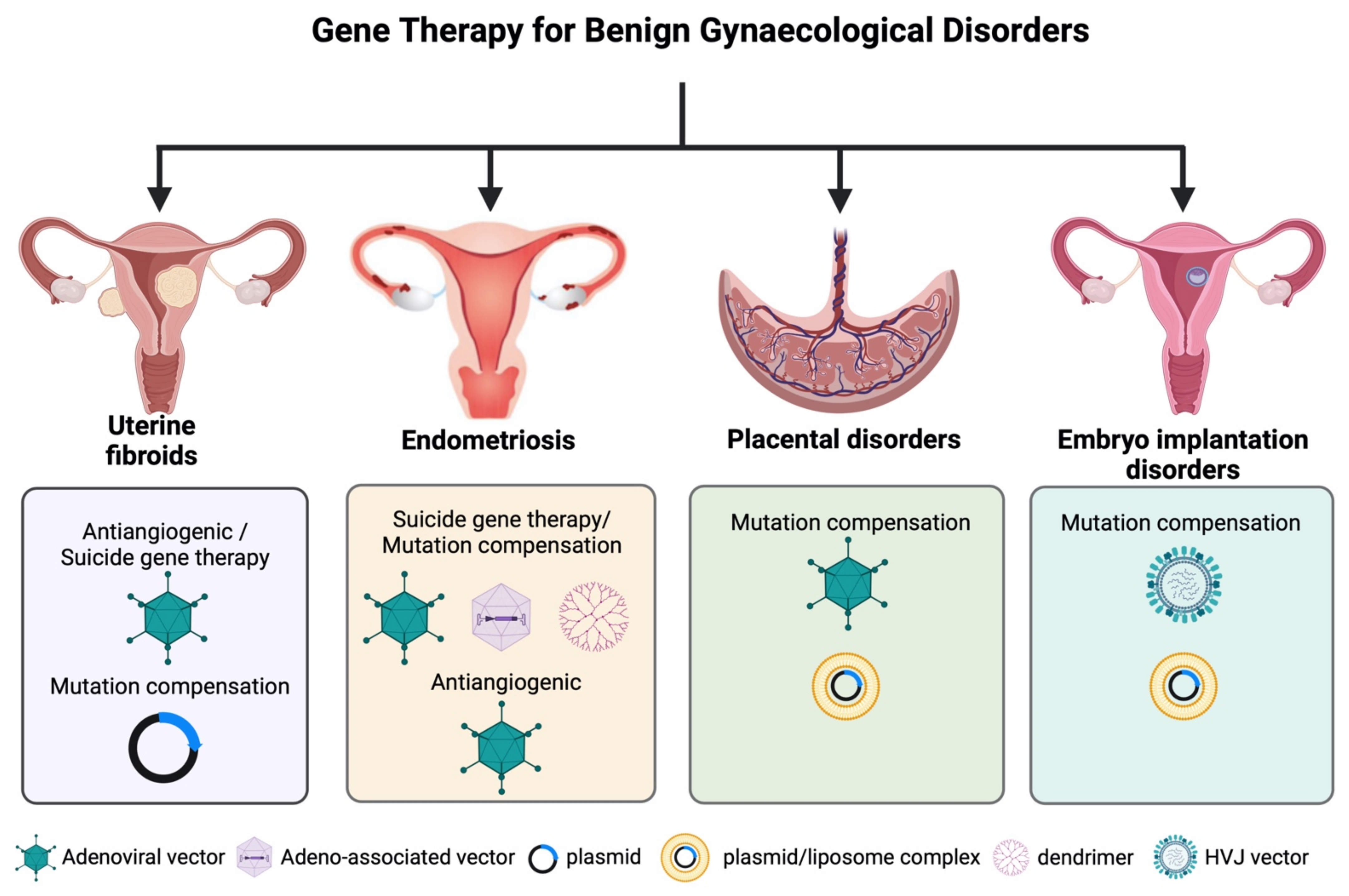 Cancers 14 03238 g005