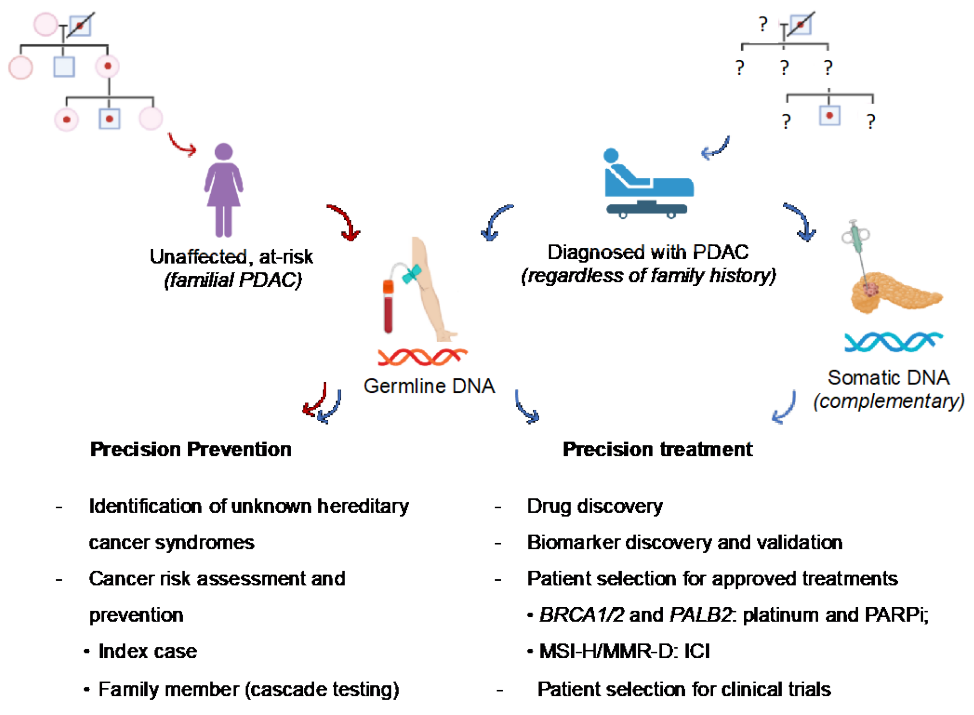Cancers 14 03239 g002