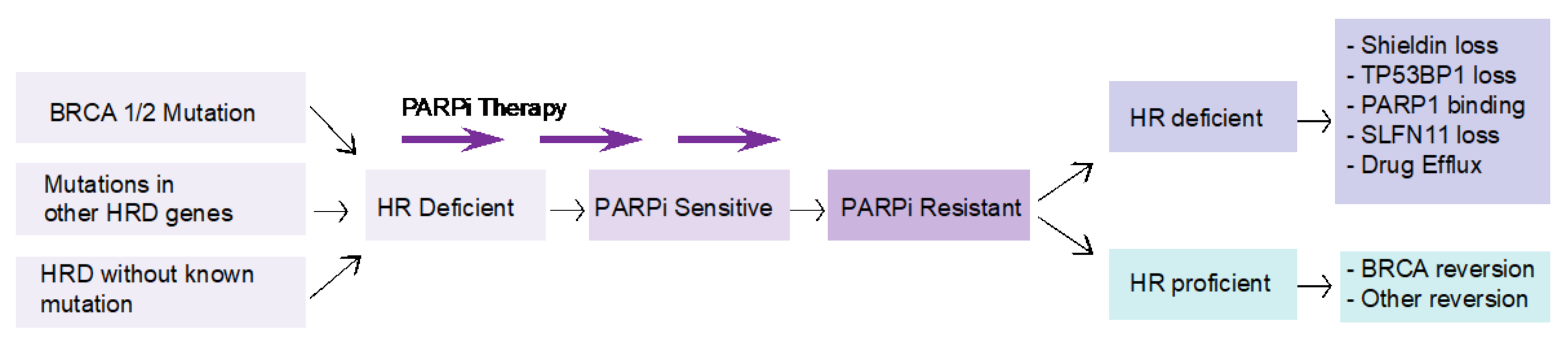 Cancers 14 03239 g003