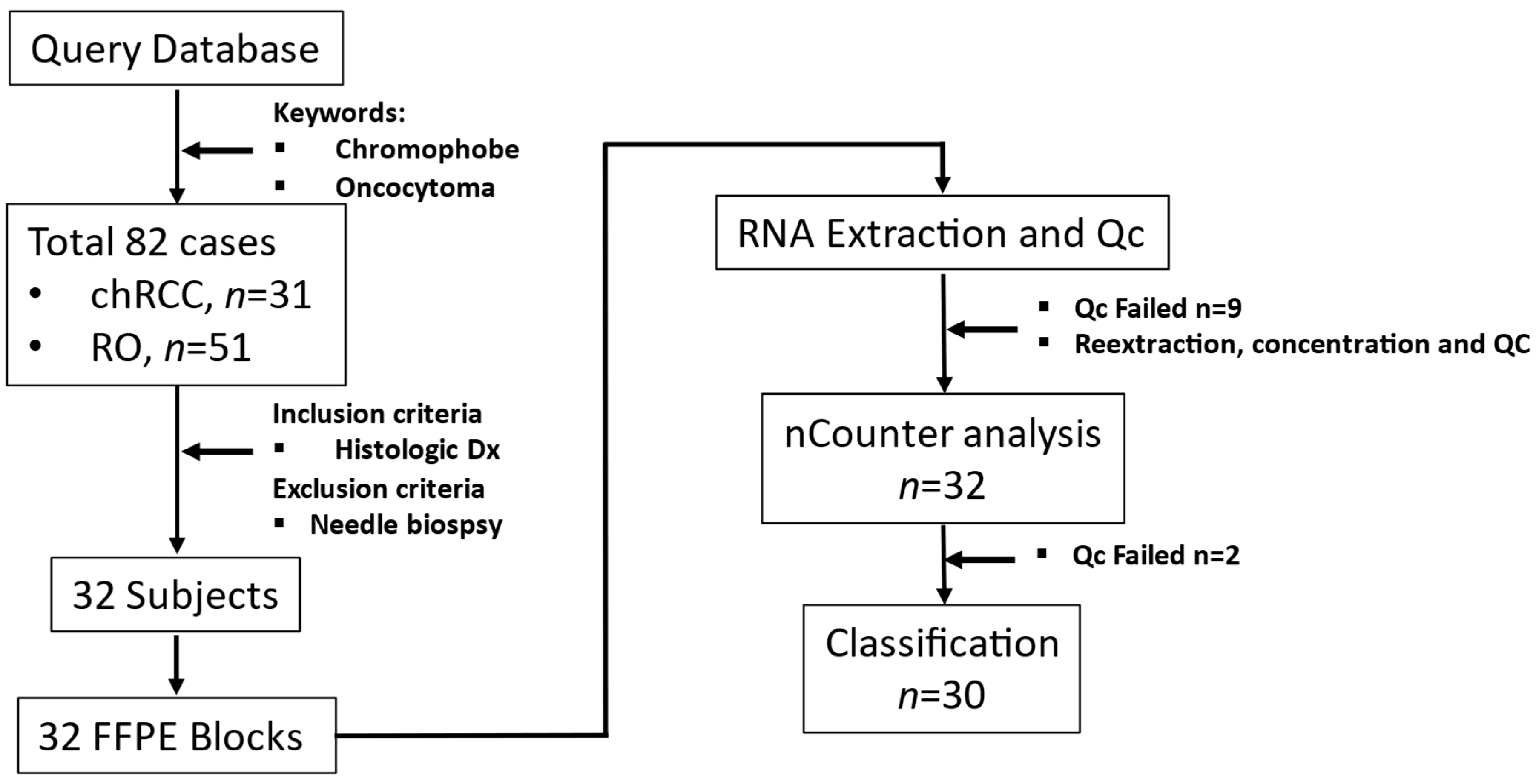 Cancers 14 03242 g001 Cancers 14 03242 g001