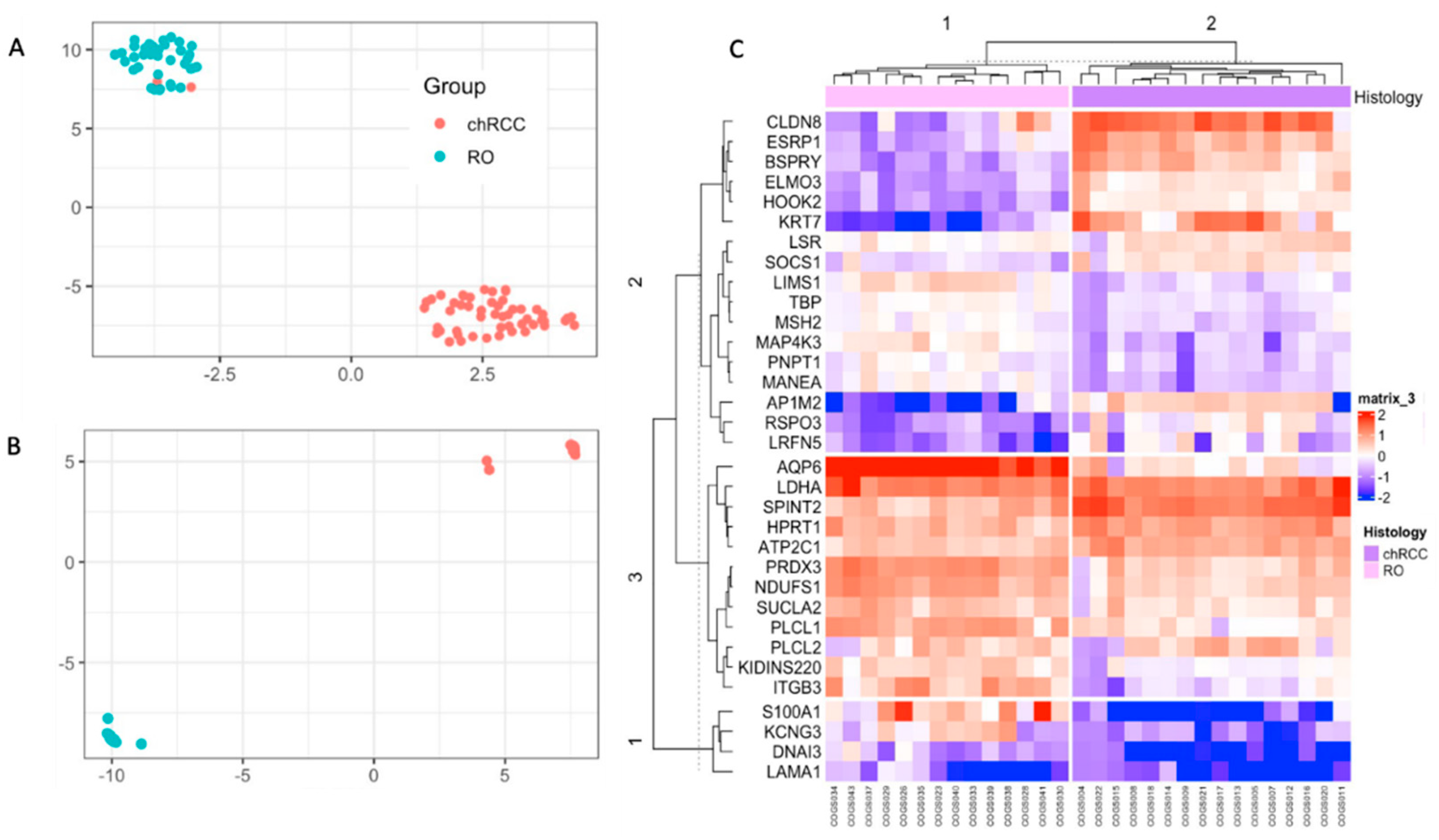 Cancers 14 03242 g002 Cancers 14 03242 g002